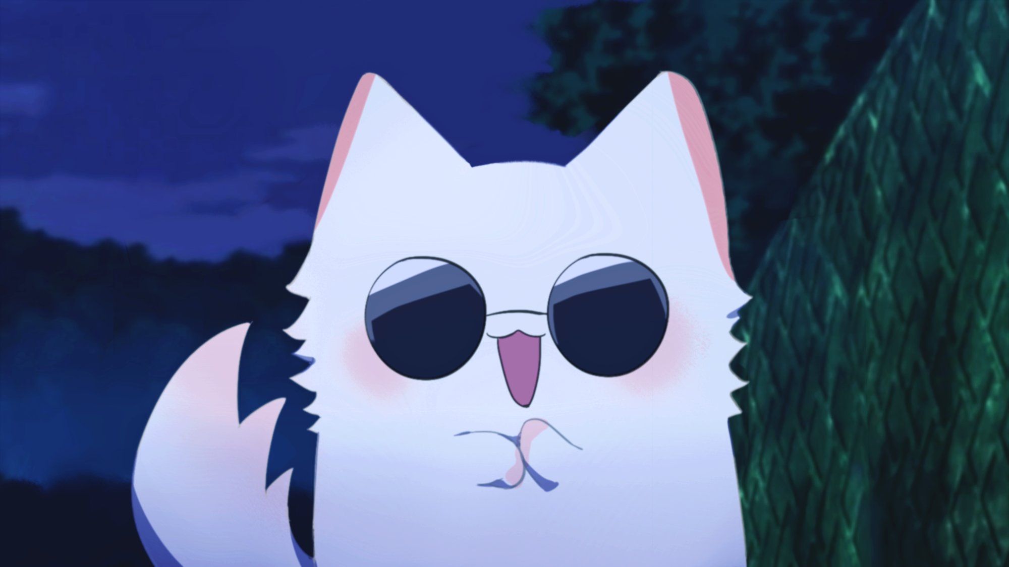 Cat Gojo Wallpapers Wallpaper Cave