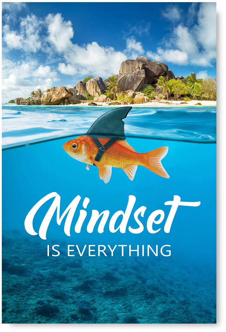 Awkward Styles Motivational Posters Teamwork Inspirational Posters for Entrepreneurs Motivational Quote Poster Classroom Posters Mindset is Everything Goldfish Office Wall Art Décor