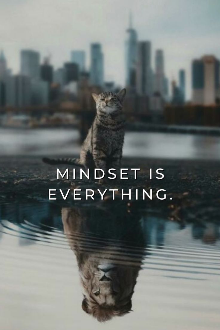 MINDSET IS EVERYTHING. Postive life quotes, Positive quotes for life motivation, Motivational quotes for working out