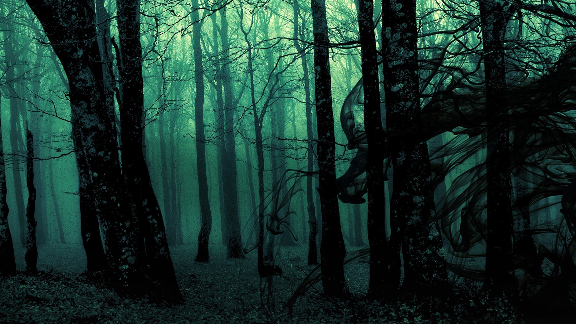 green, dark, trees, nature, forest, digital art, spooky Gallery HD Wallpaper