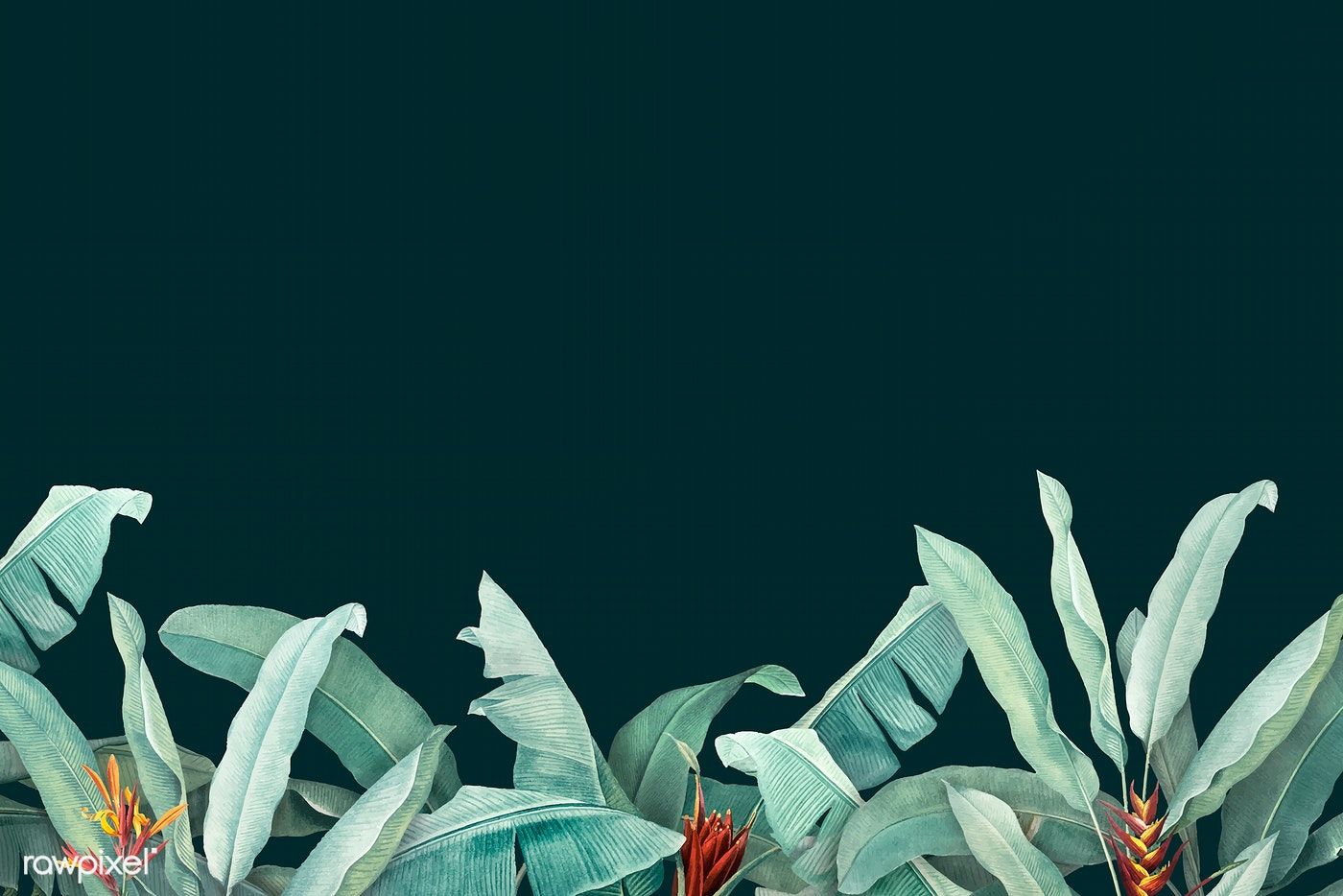Hand drawn tropical leaves on a dark green background vector. premium image. Ботанические рисунки, Не имеющий вектора, Рисунки
