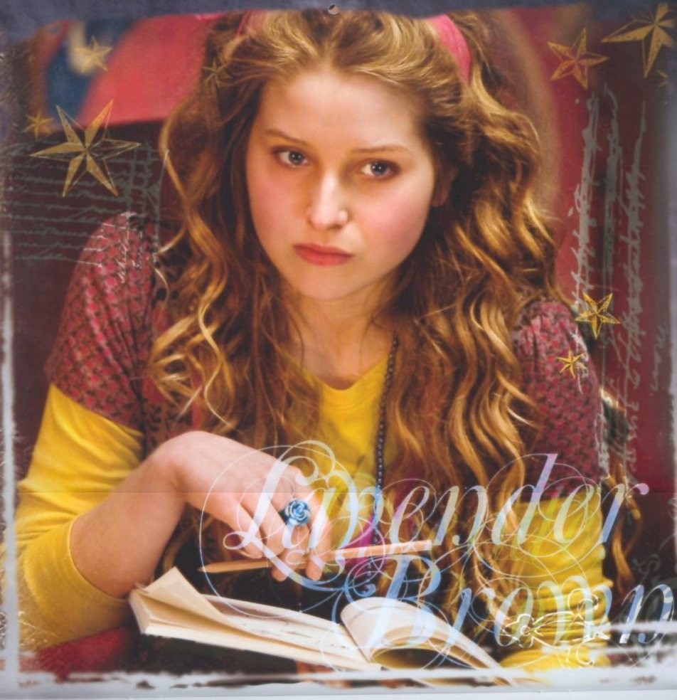 Lavender Brown Brown Photo
