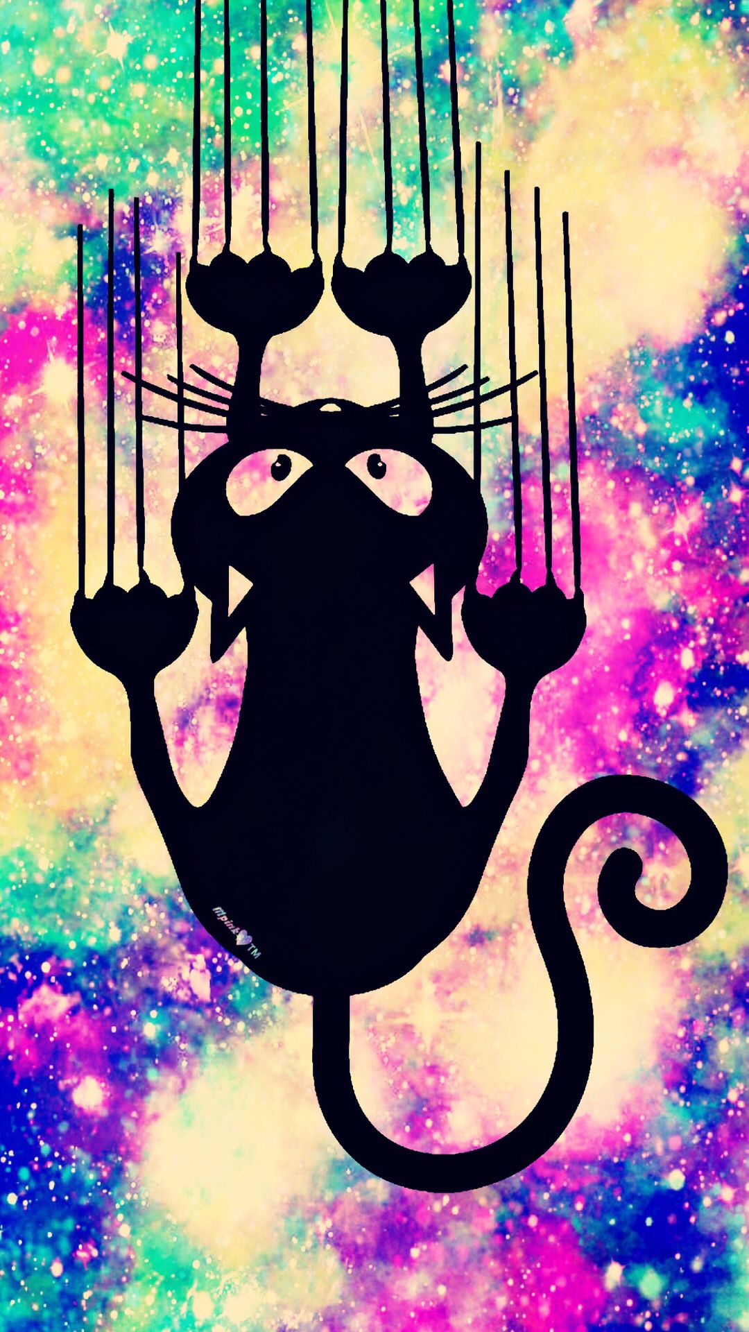 Glitter Cat Wallpapers - Wallpaper Cave