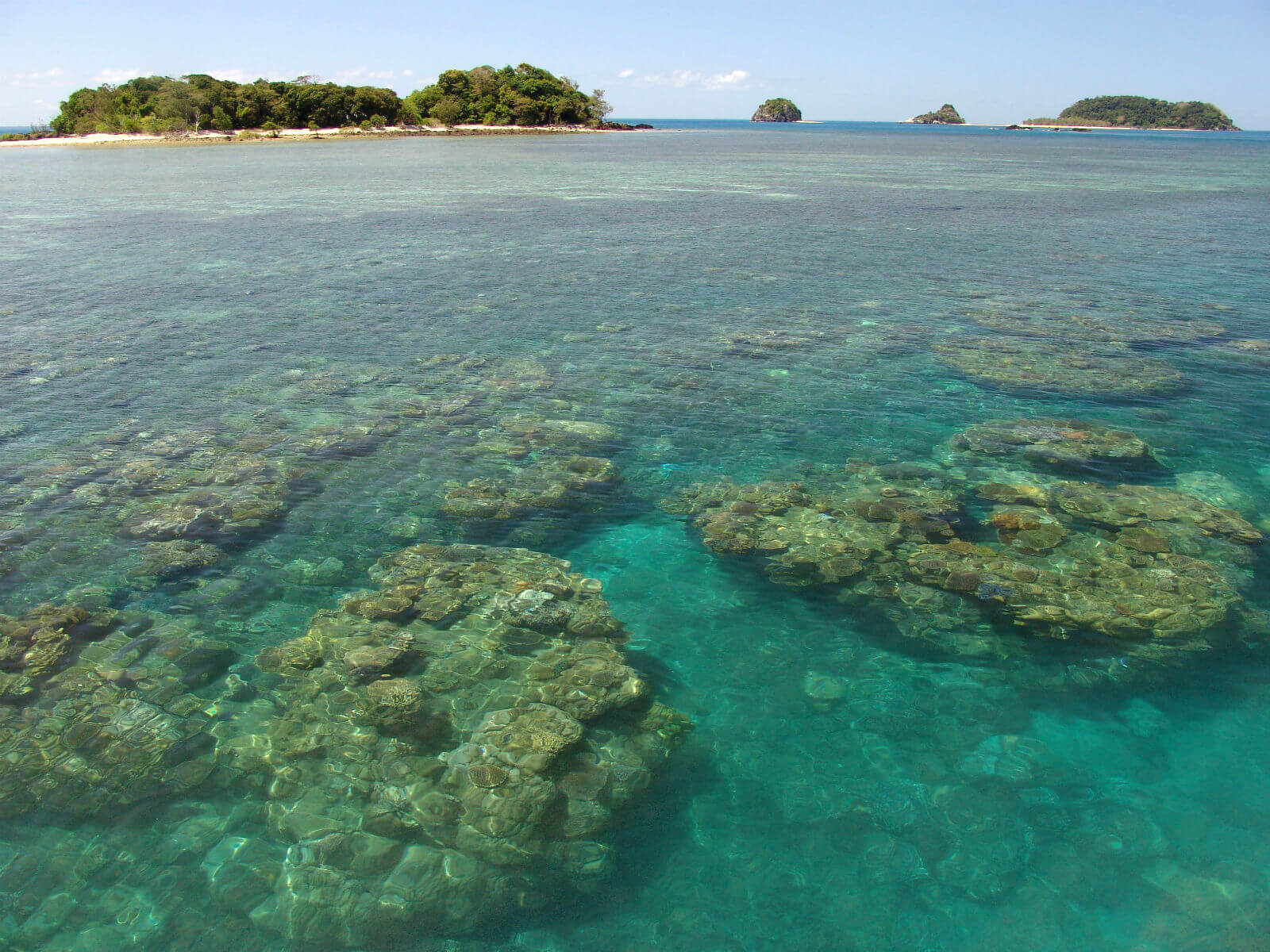 Six Tropical Islands near Cairns Tourstogo Travel Guide
