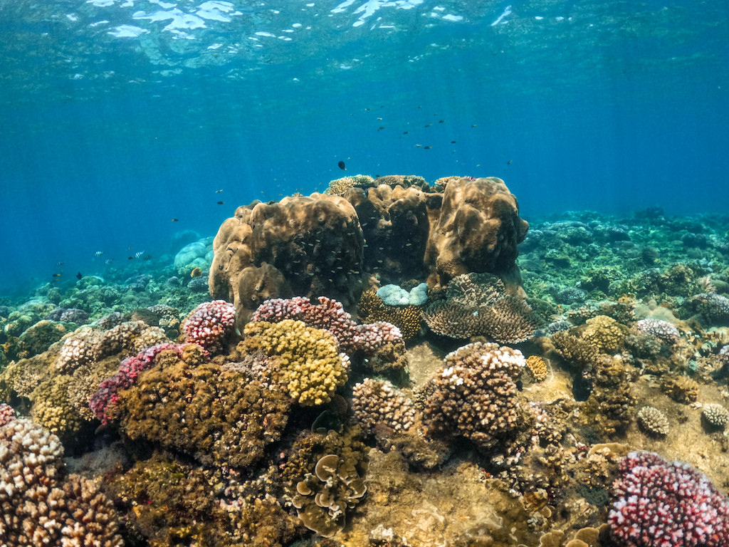 Discover the fascinating Frankland Islands