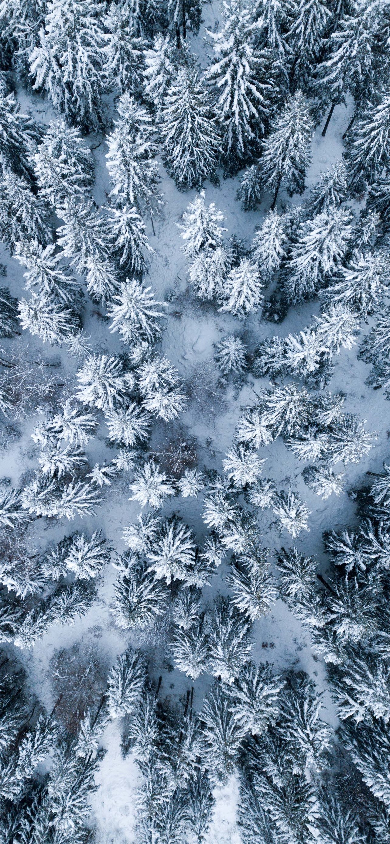 Snow iPhone HD Wallpaper
