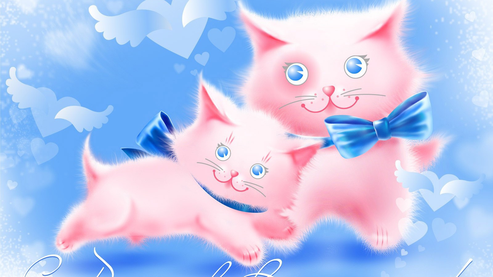 Two pink cat on Valentine's Day February 14 Desktop wallpaper 1600x900