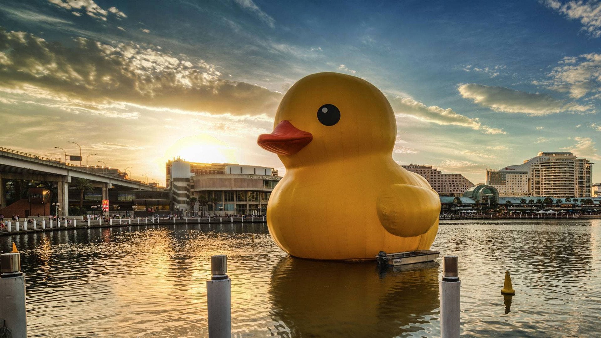 Sydney's giant rubber duck [1920x1080]