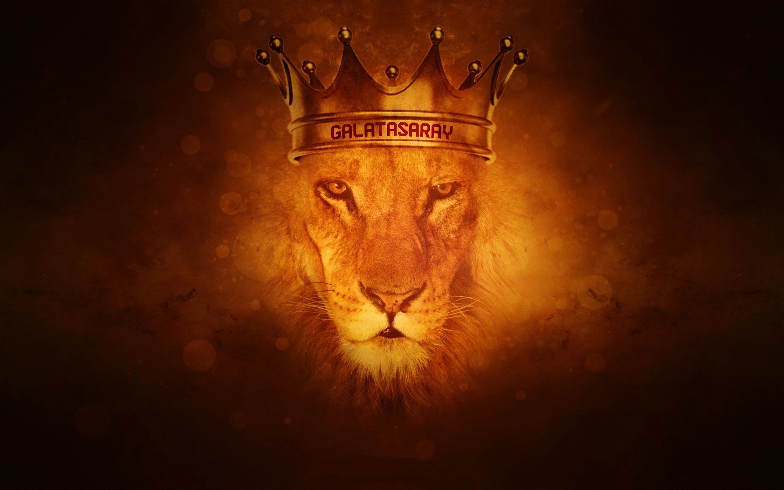 Fire Lion King Wallpaper Download
