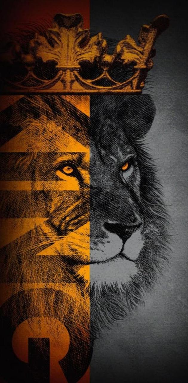 Lion king wallpaper