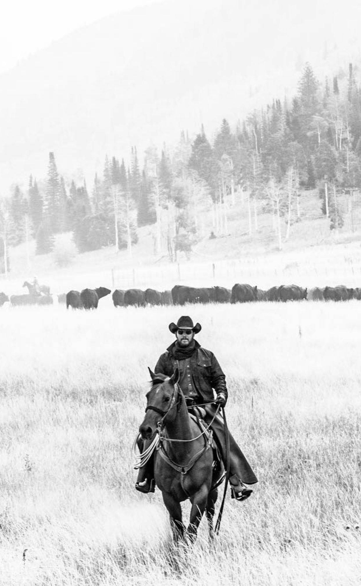 Rip'S Redemption: A Closer Look At The Man Behind Rip On Yellowstone'S Journey. - hiord0h