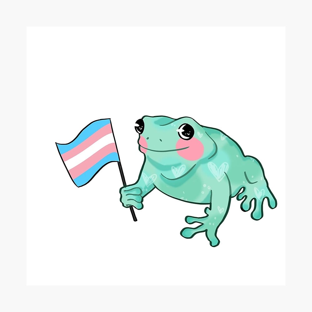 transgender Frog Poster