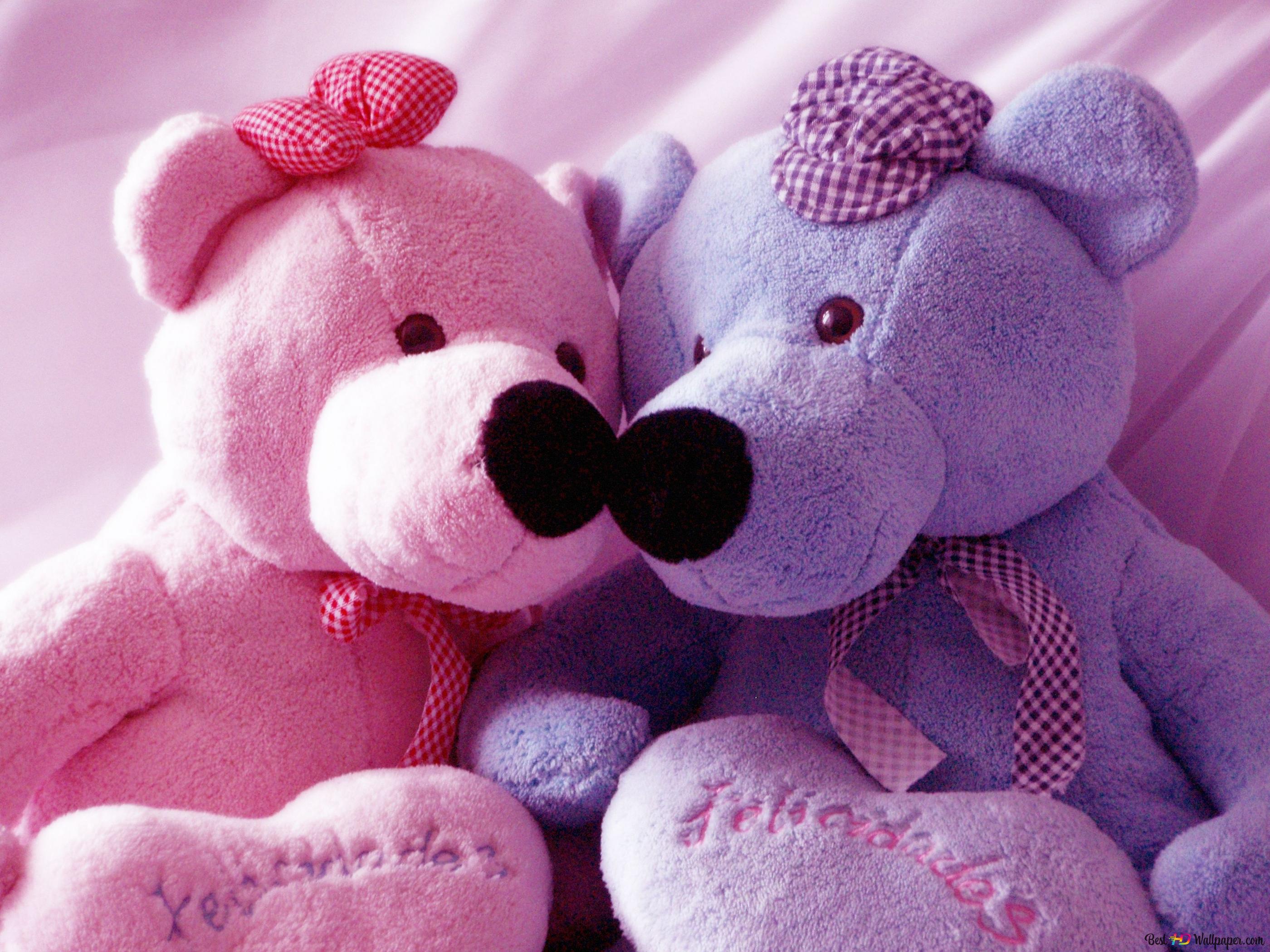 Two cute bears in purple and pink 2K wallpaper download