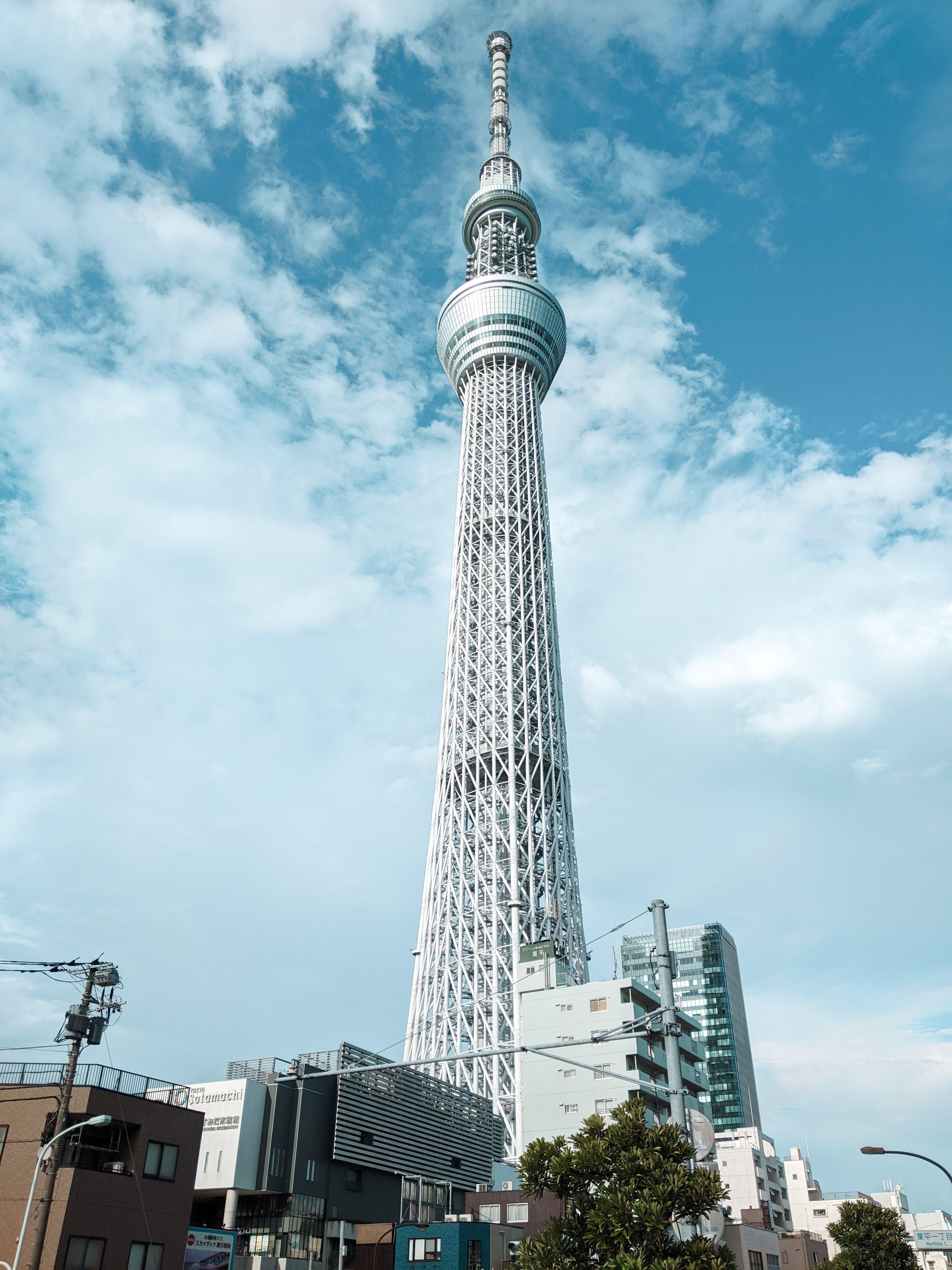 skytree view