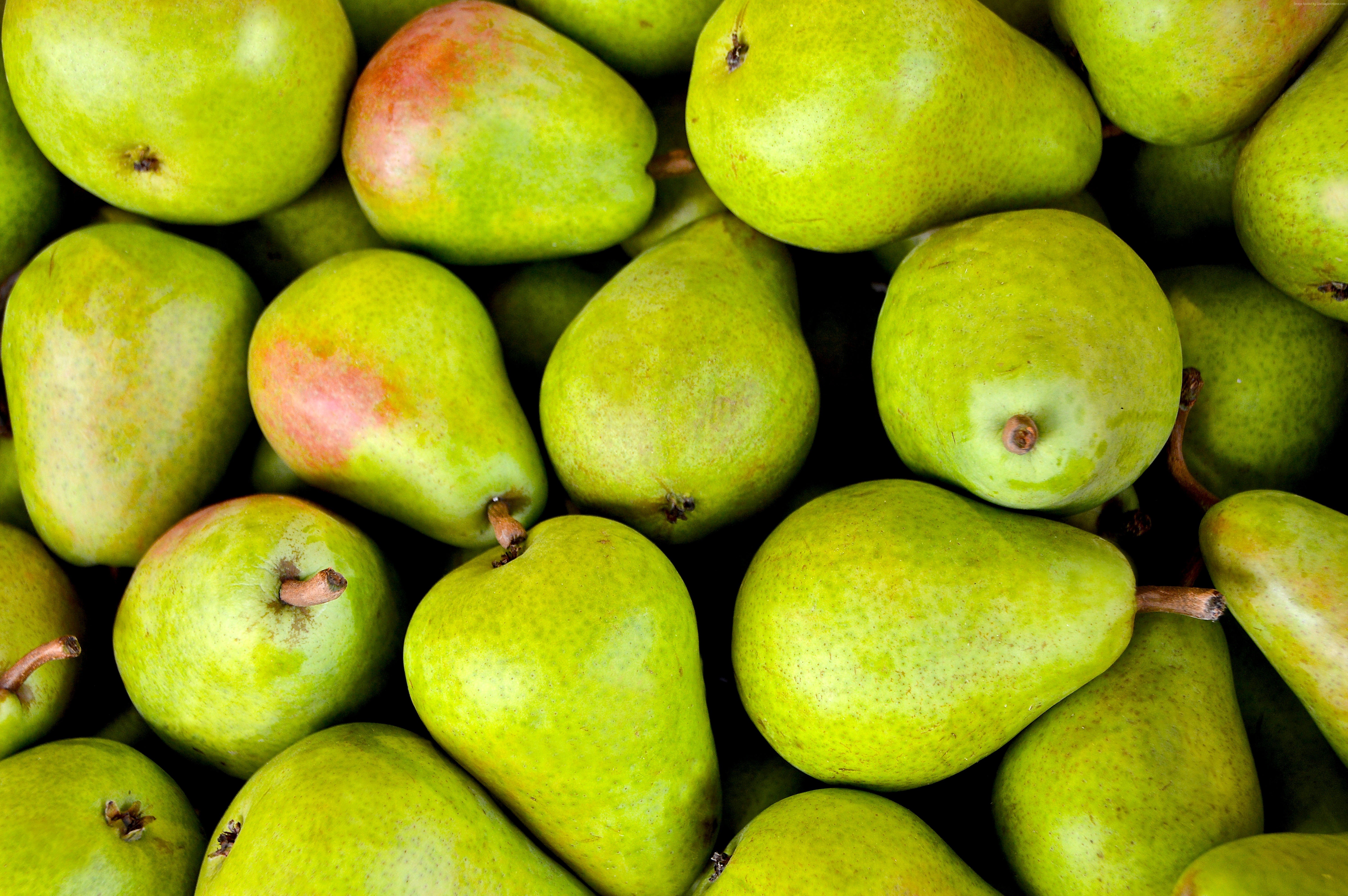 5k, green, fruit, pear Gallery HD Wallpaper