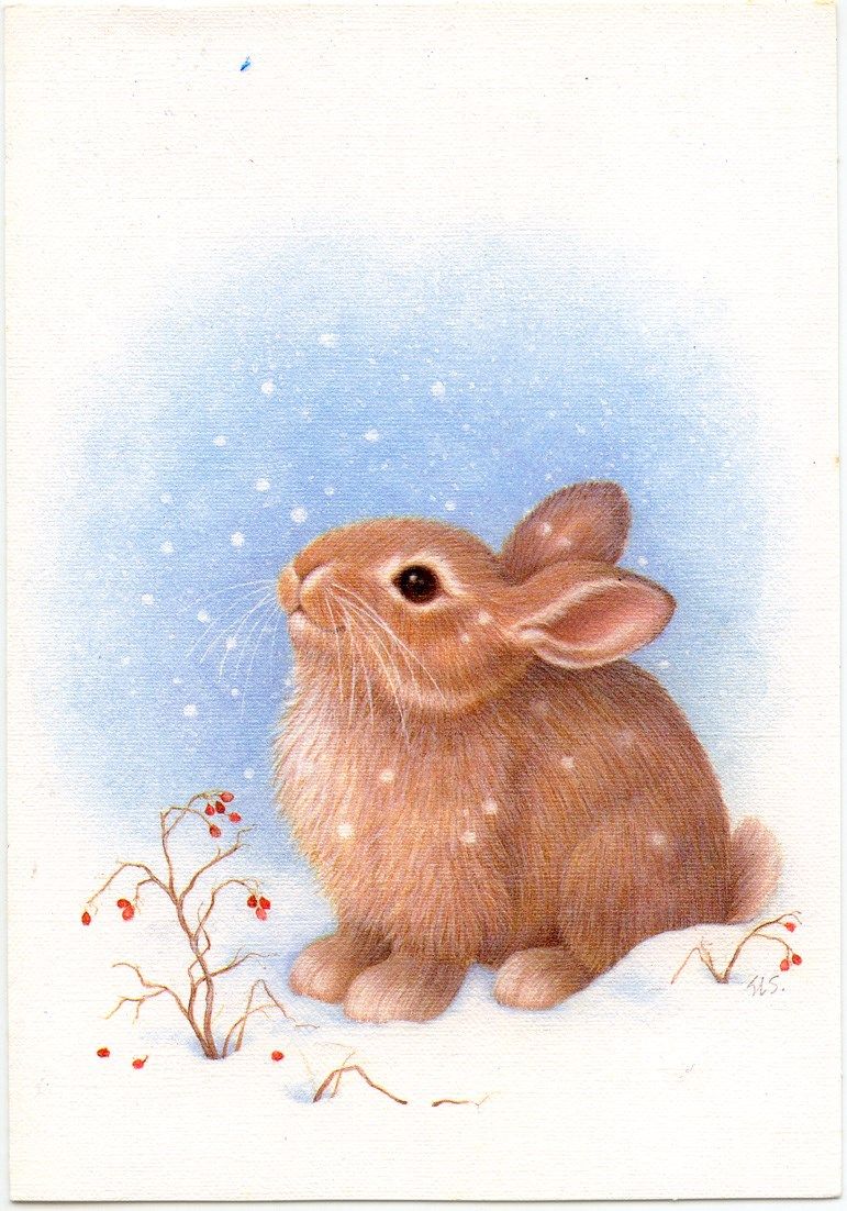 Bunny in Snow. Bunny painting, Bunny picture, Bunny art