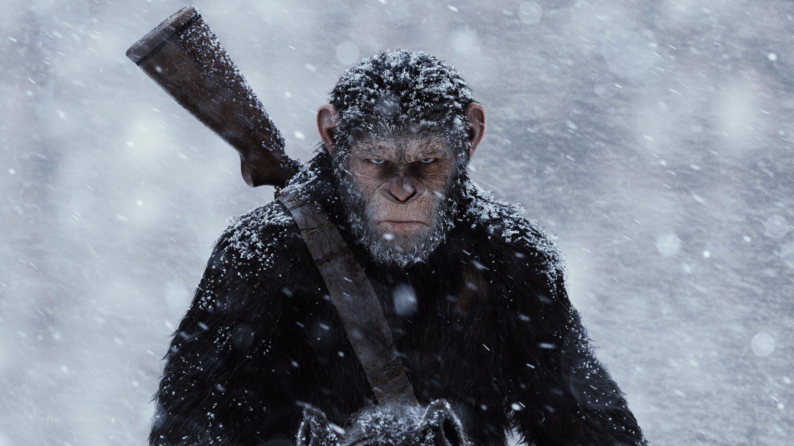 War for the Planet of the Apes' Revels in the Morally Gray