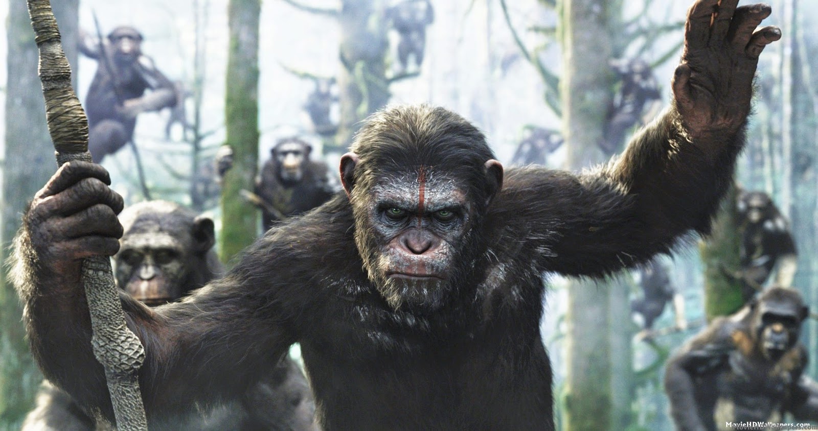 The Blog of Delights: Film: Dawn of the Planet of the Apes