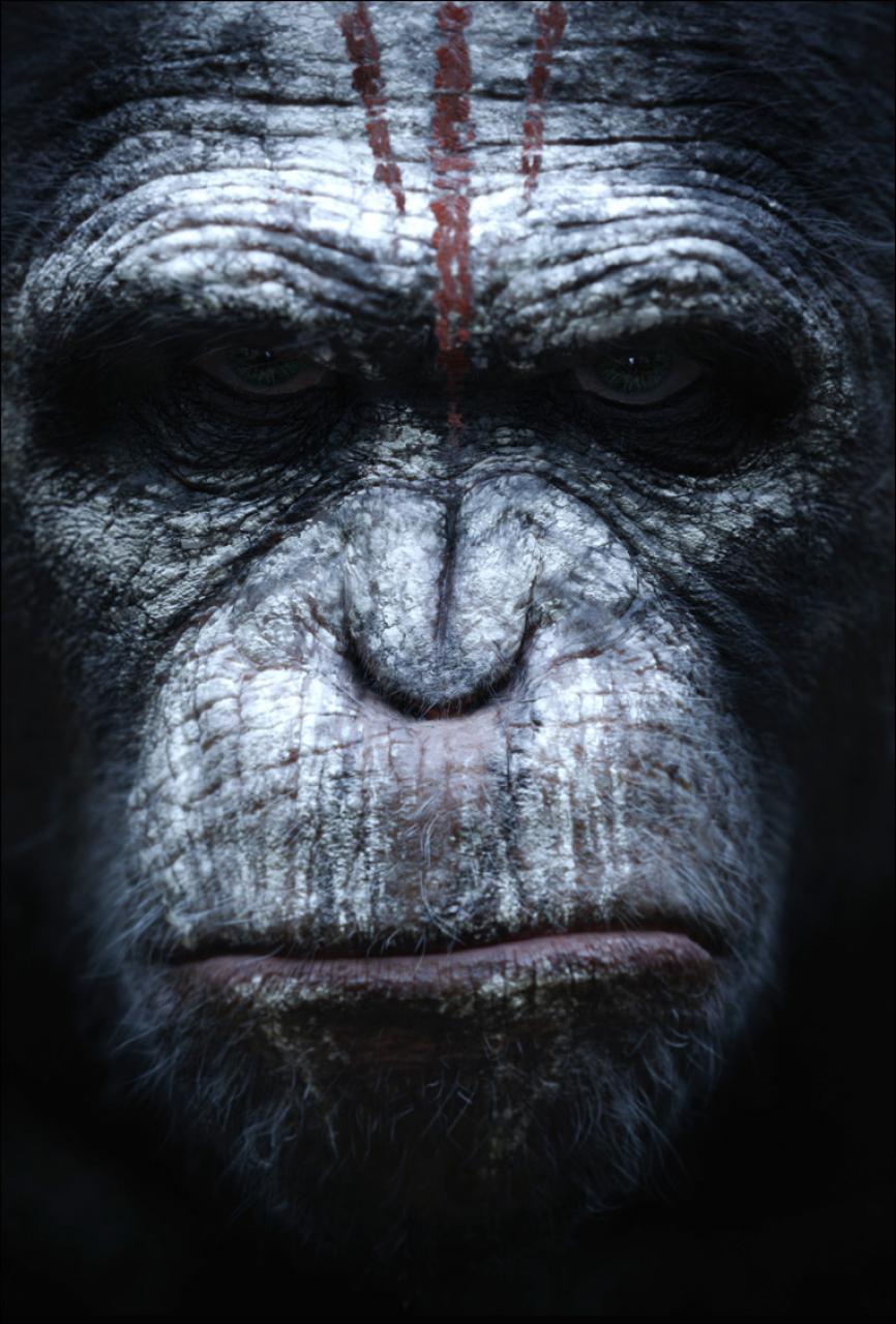 Dawn Of The Planet Of The Apes Comes To Blu Ray In A Deluxe Bust Of Caesar's Head Book Movies And Superhero Movie News