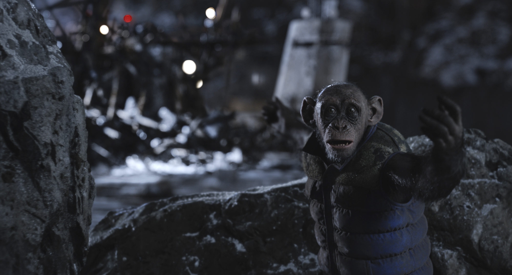 Steve Zahn interview: War For The Planet Of The Apes. Den of Geek