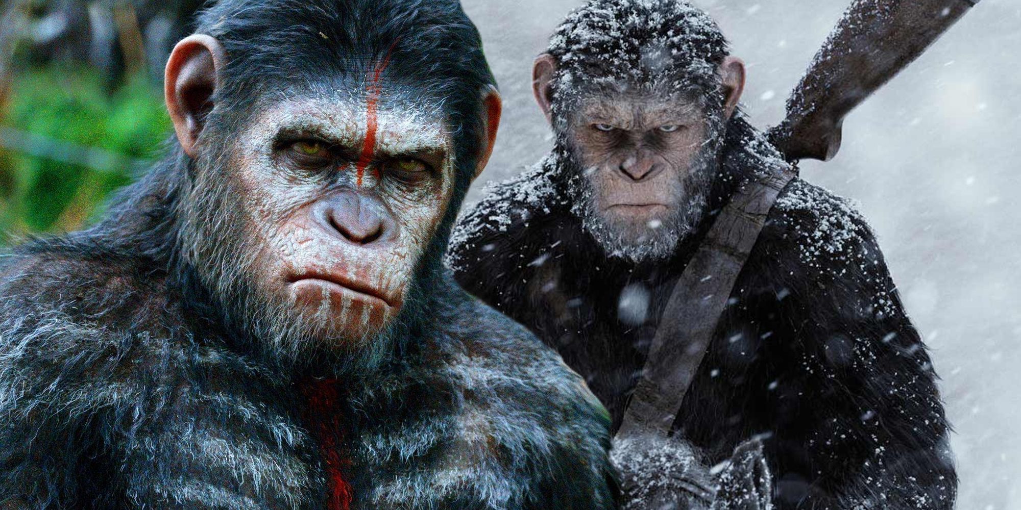 Planet Of The Apes Heroes And Villains Wallpapers - Wallpaper Cave