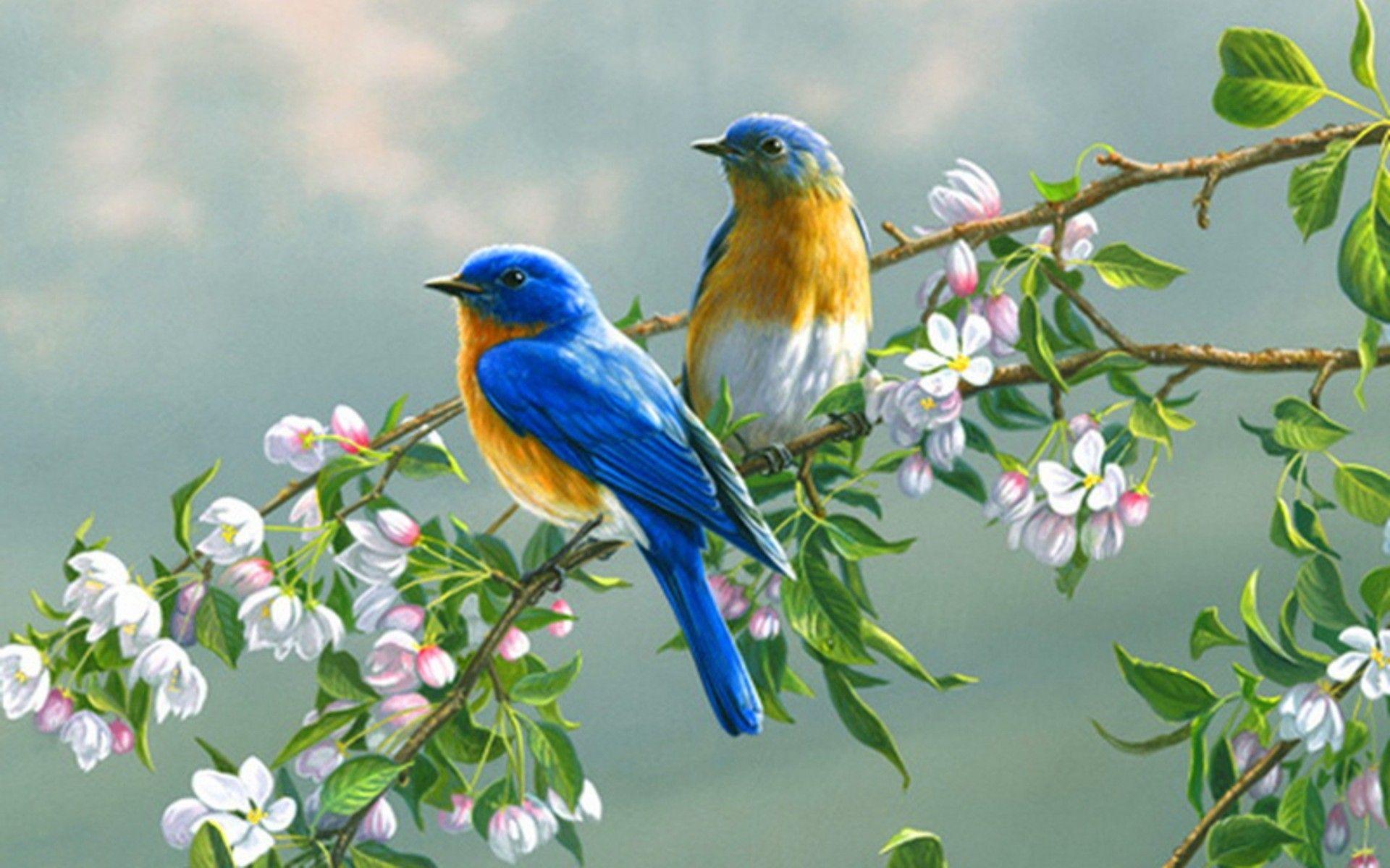 Spring Flowers and Birds Wallpaper Free Spring Flowers and Birds Background