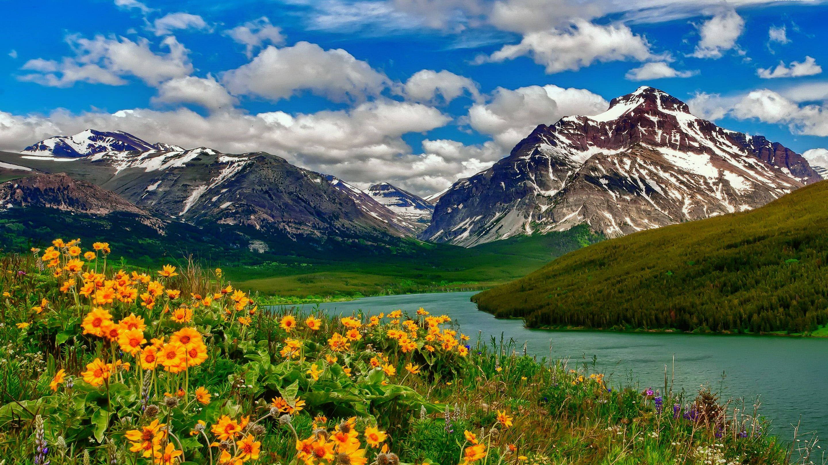 Spring Landscape Wild Flowers Yellow Color Lake Mountains With Remains Of Snow HD Desktop Wallpaper 2. Spring landscape, Landscape photo, Spring landscape photo