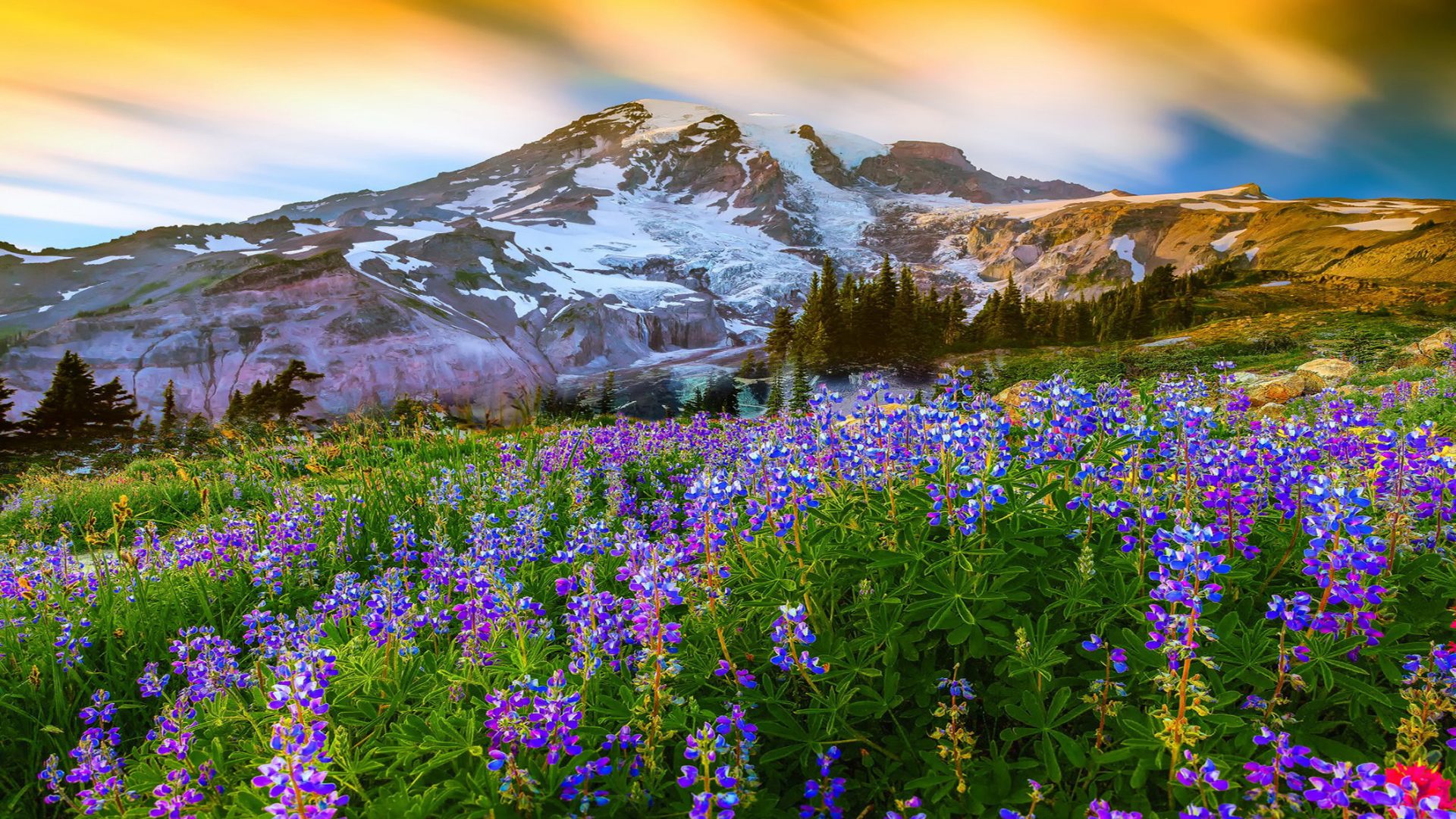 Beautiful Spring Landscape Nature Flowers For Your XFCE Desktop