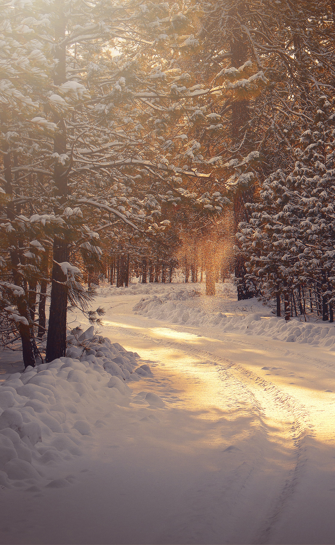 Winter 2025 Home Decor Ideas: Embracing Warmth, Nature, and Sophistication
