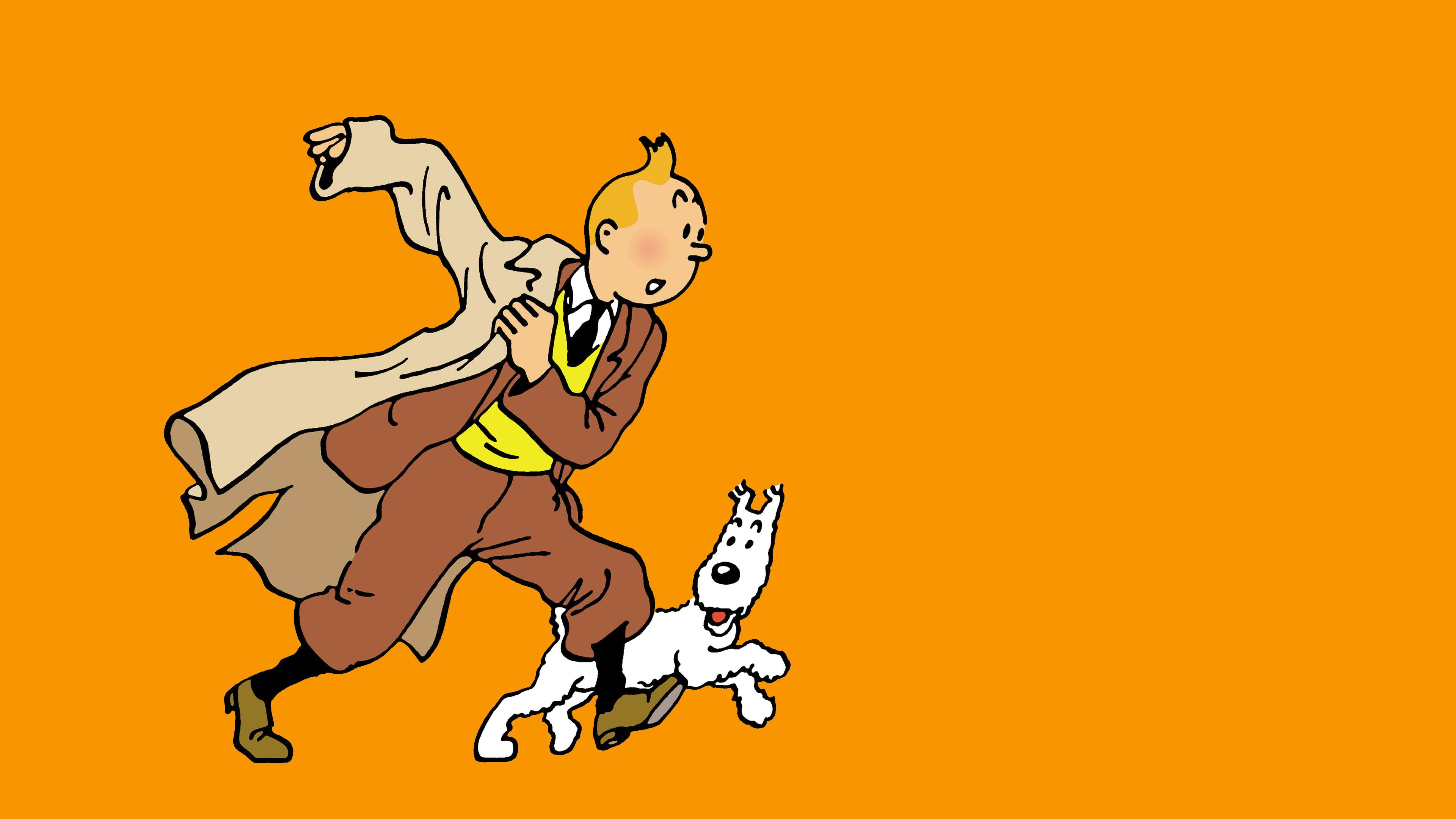 Tintin Cartoon Wallpaper and Background 4K, HD, Dual Screen