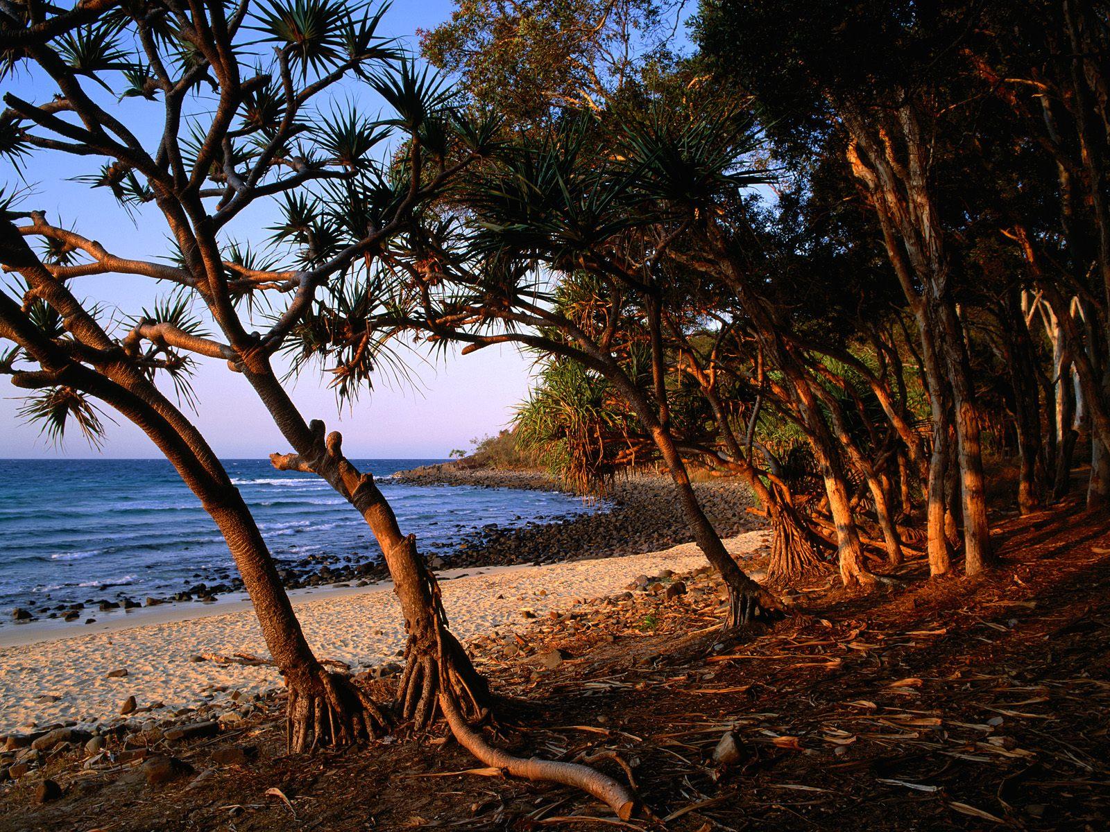 Noosa HD Wallpaper and Background
