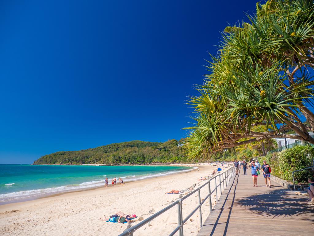 Noosa Media Gallery