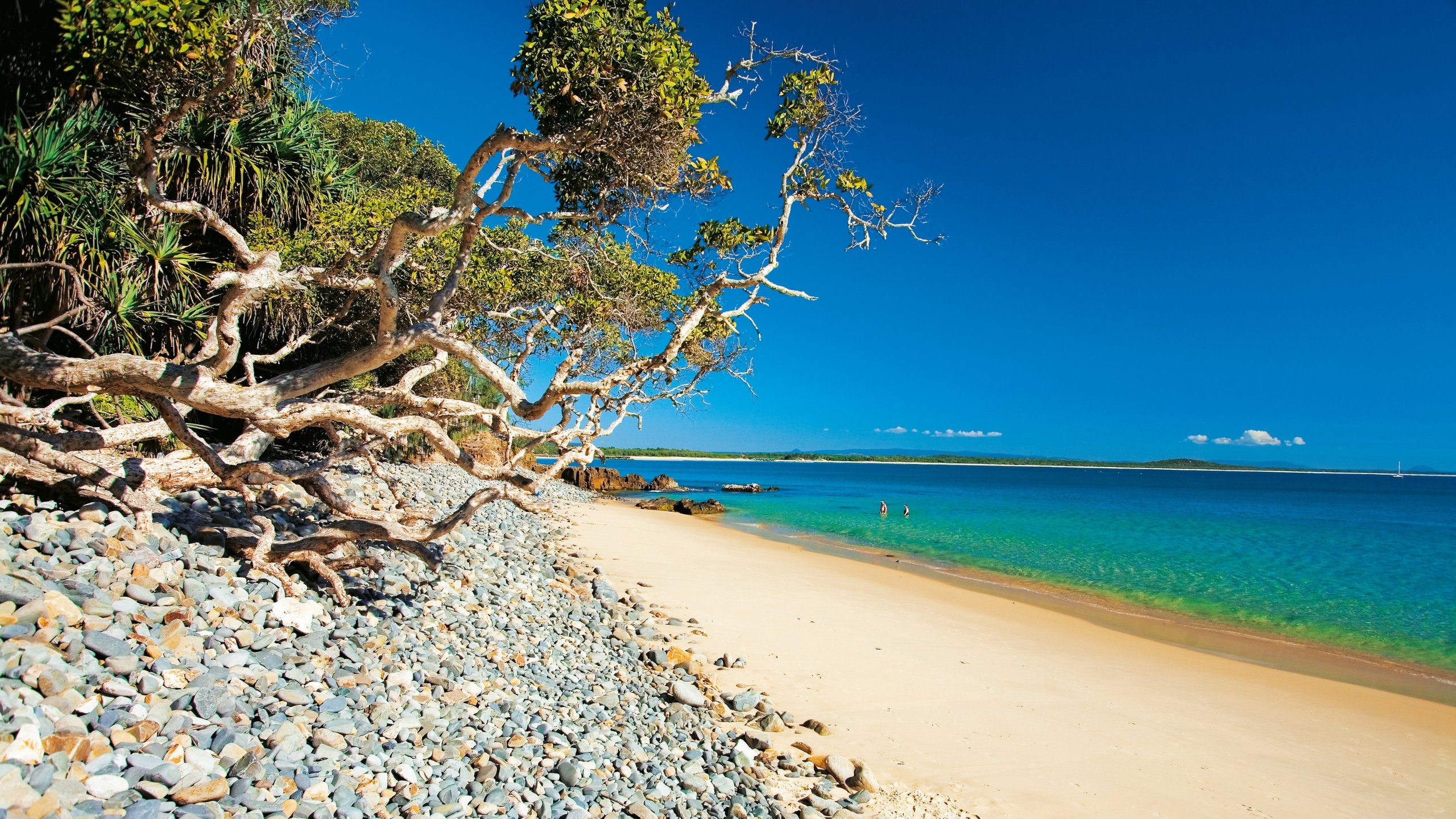 Visit Noosa Heads: 2023 Noosa Heads, Sunshine Coast Travel Guide