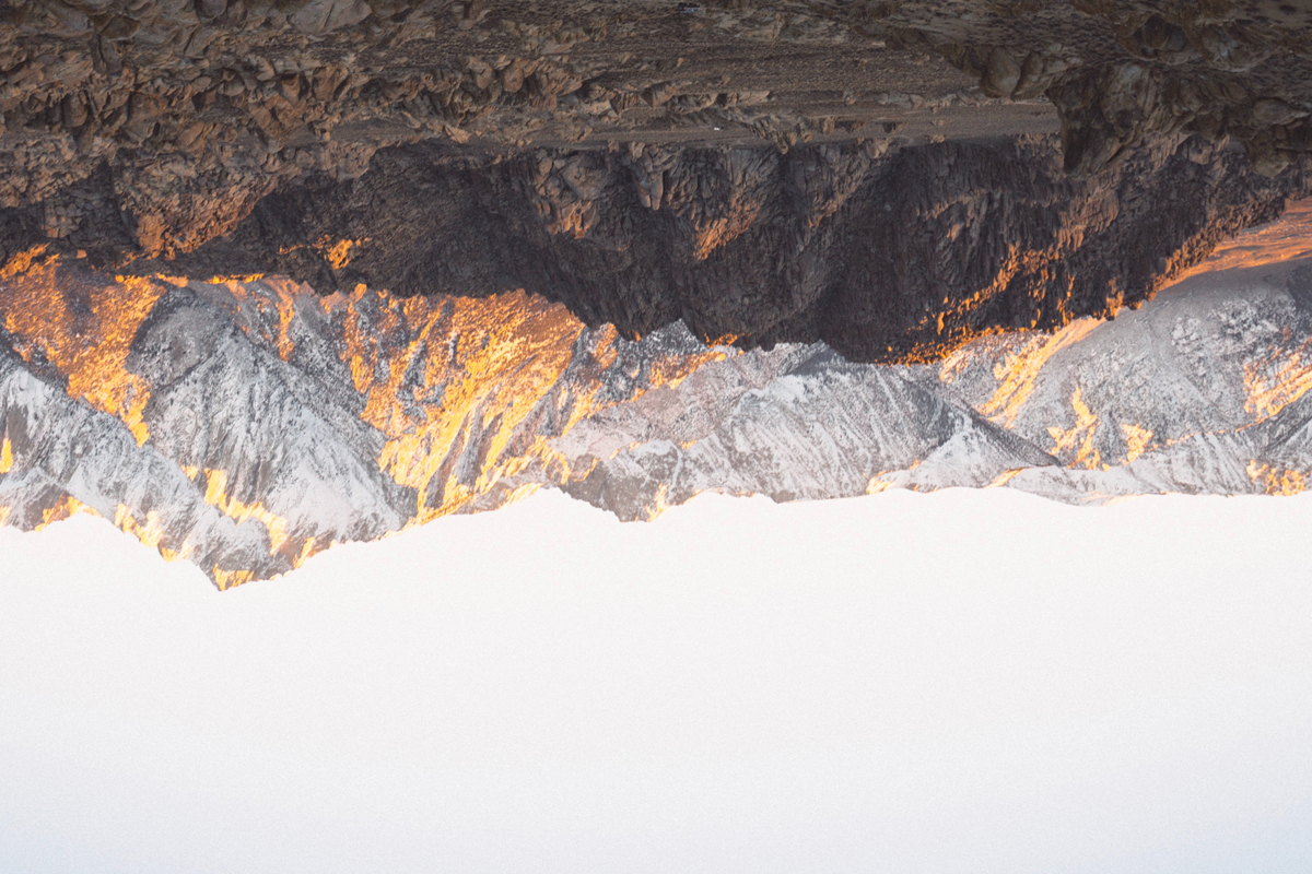 Lane 8 Robinson Design