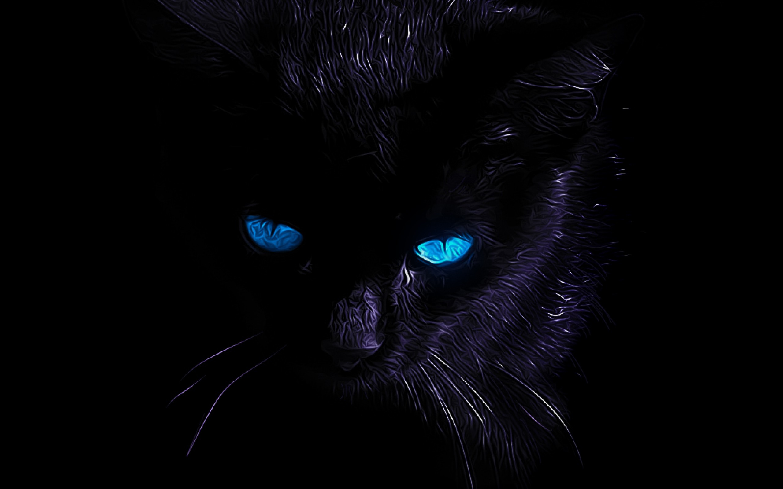Free download Black Cat wallpaper 7 [2560x1600] for your Desktop, Mobile & Tablet. Explore Wallpaper Black Cat. Black Cat Background, Black Cat Wallpaper, Black Cat Wallpaper