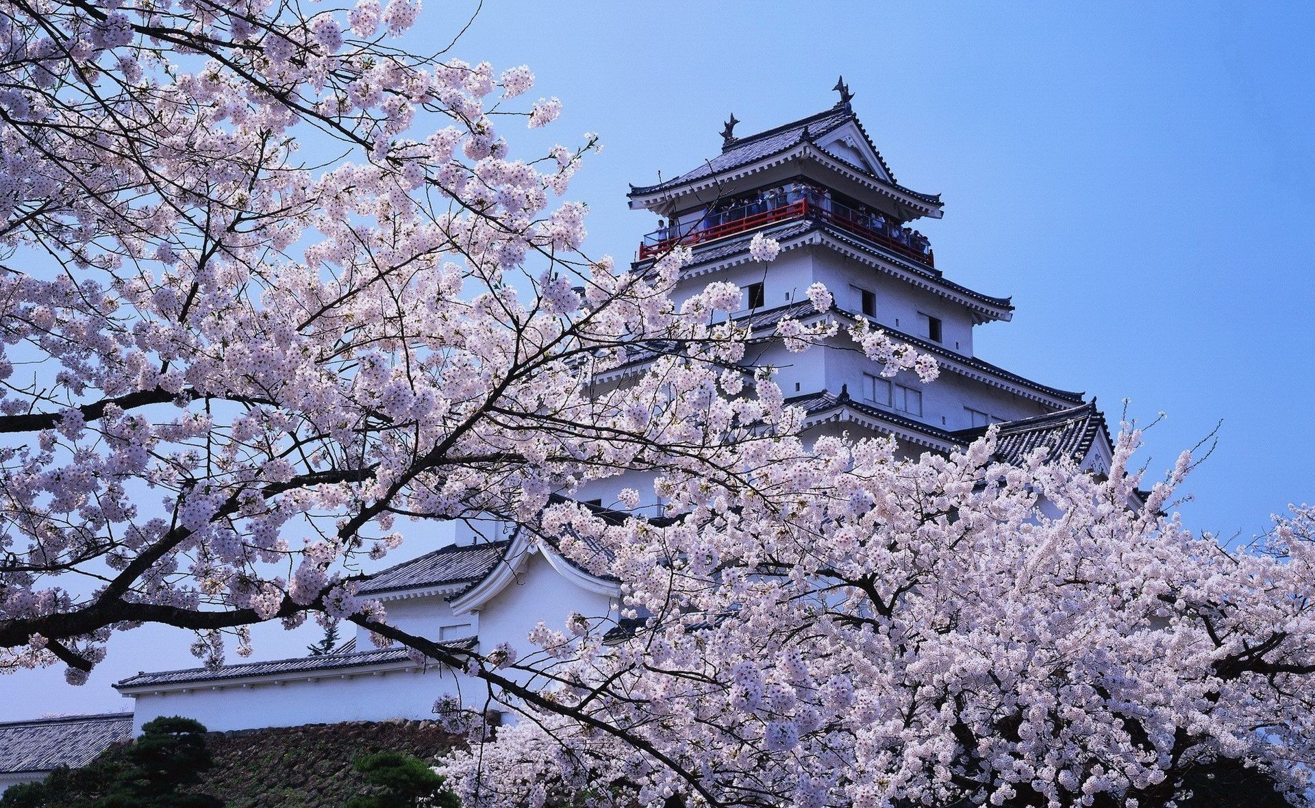 Himeji Castle HD Wallpaper and Background
