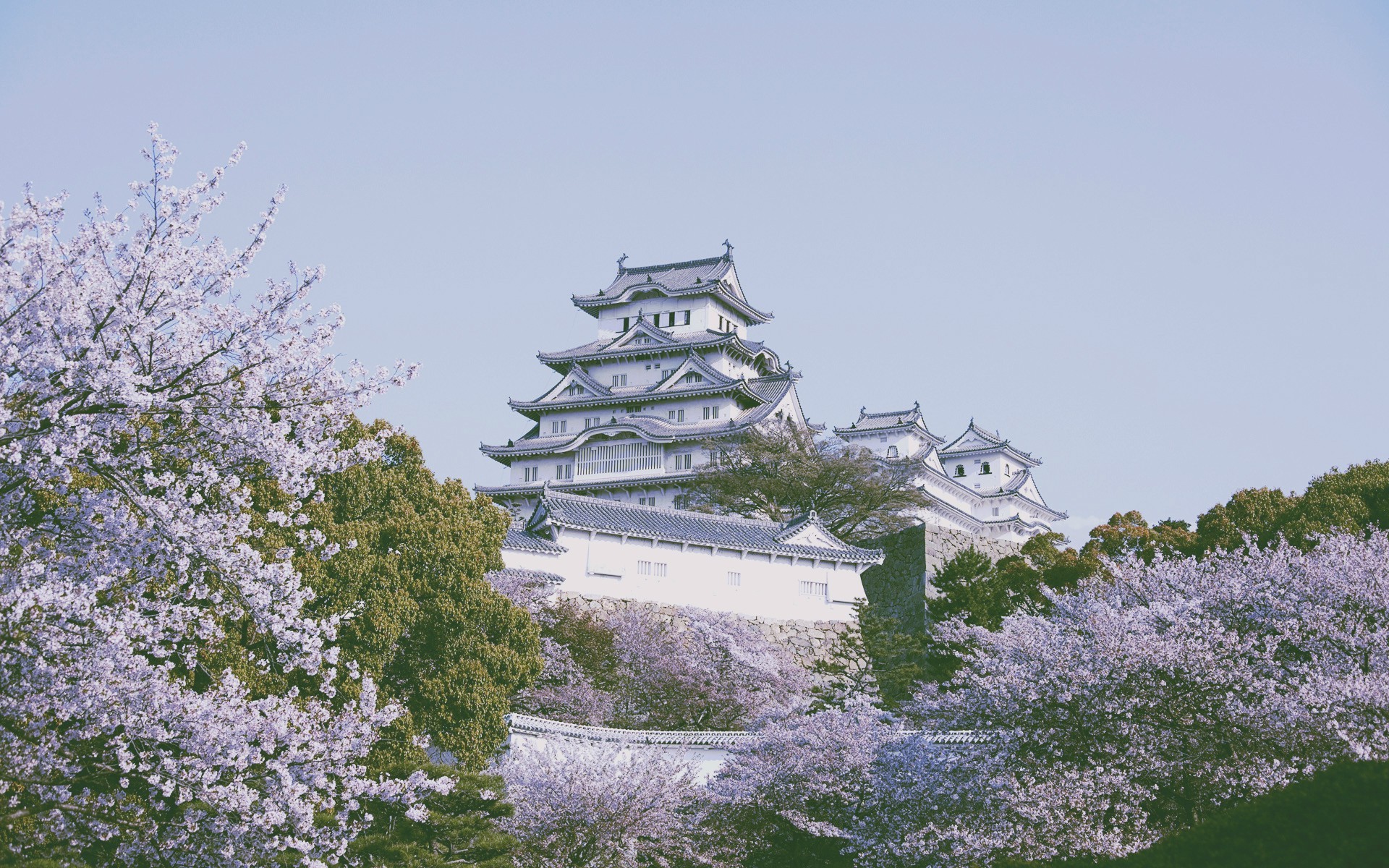 Himeji Castle Wallpapers - Wallpaper Cave