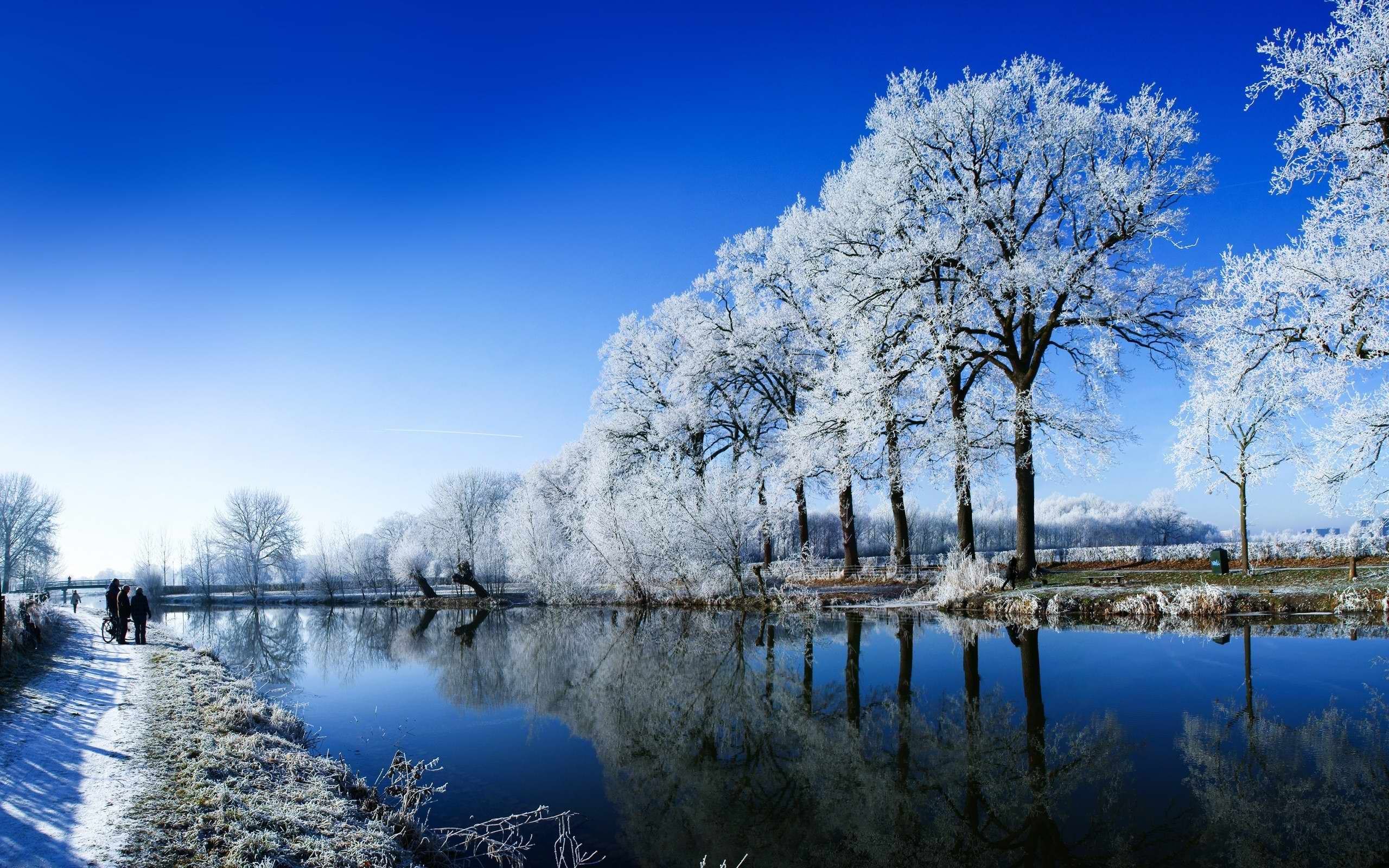 wallpaper snow trees hdtv 1080p 1920x1080 HD. Winter landscape, Winter wallpaper, Scenery