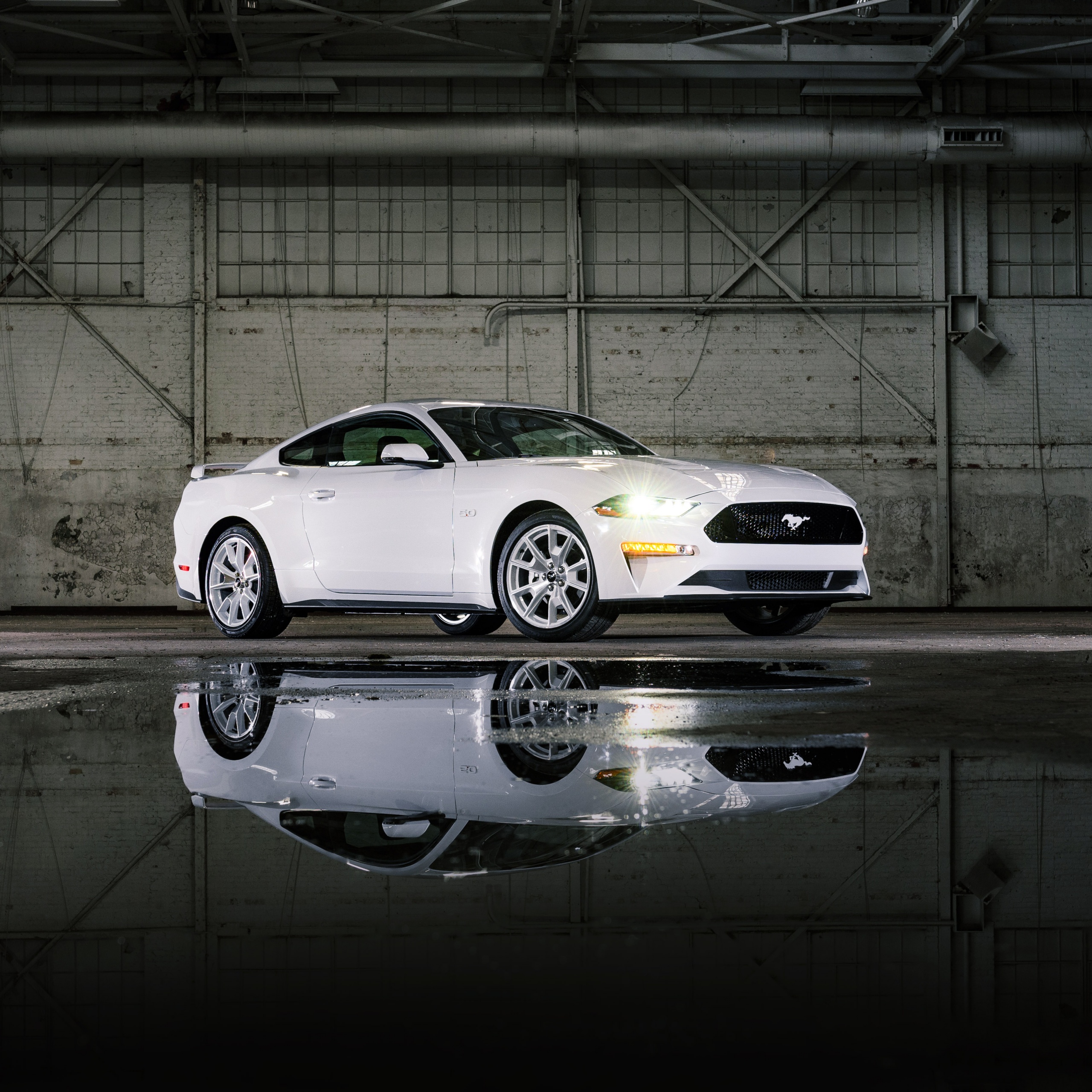 Ford Mustang GT Wallpaper 4K, Cars