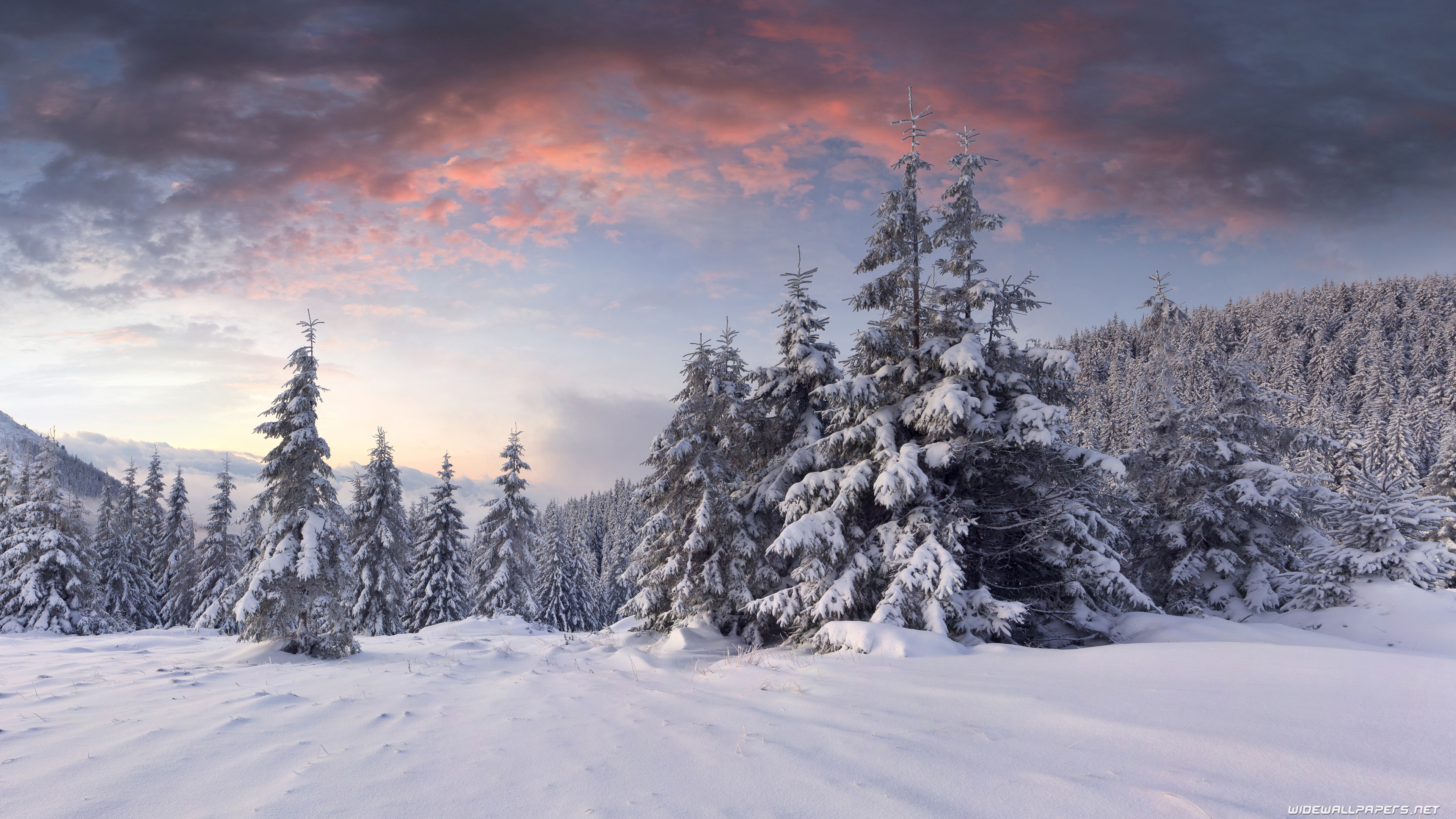 Winter desktop wallpaper 4K Ultra HD