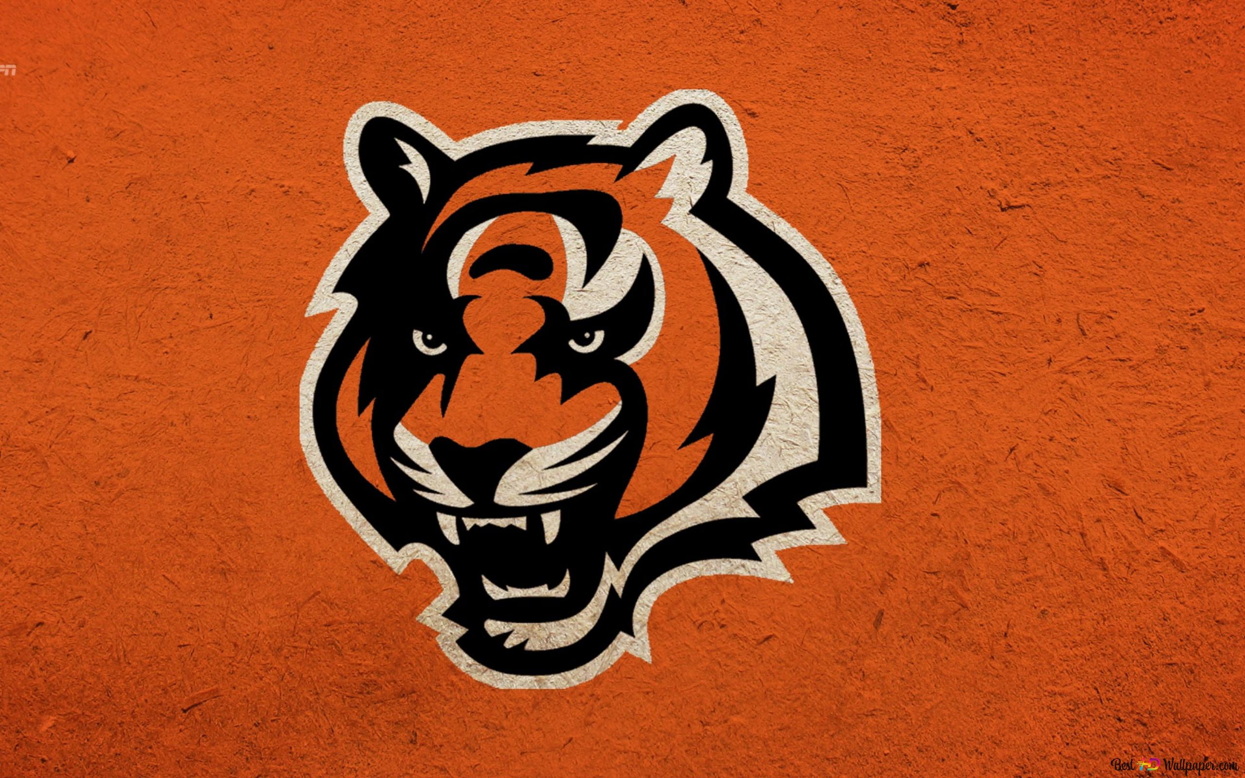 Cincinnati Bengals, orange and black tiger head 2K wallpaper download