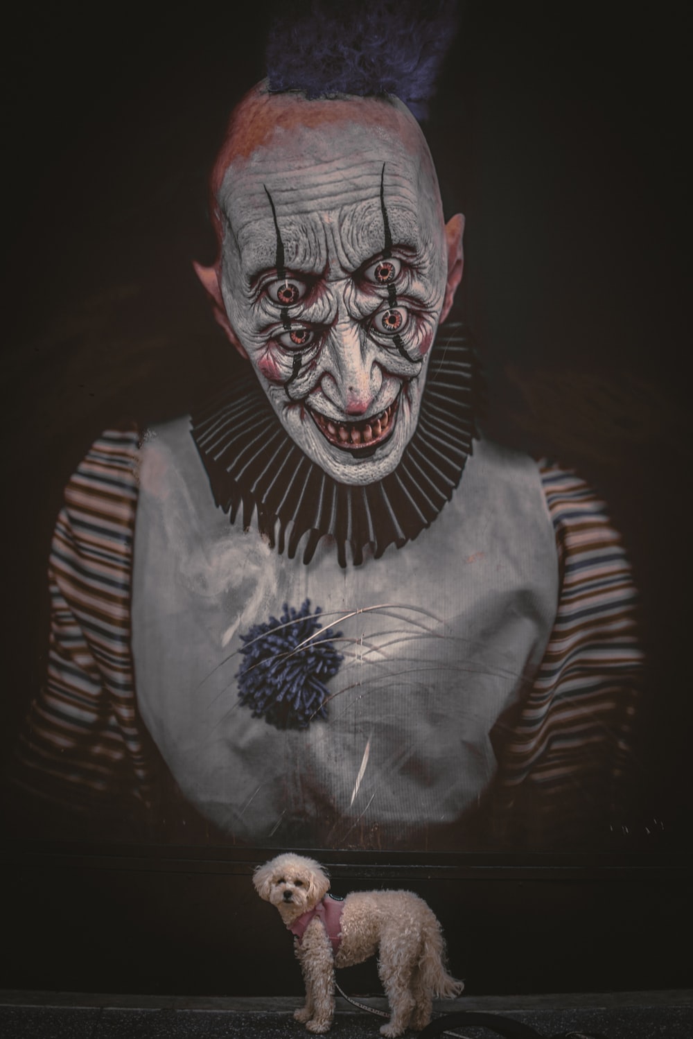 Scary Clown Picture [HD]. Download Free Image