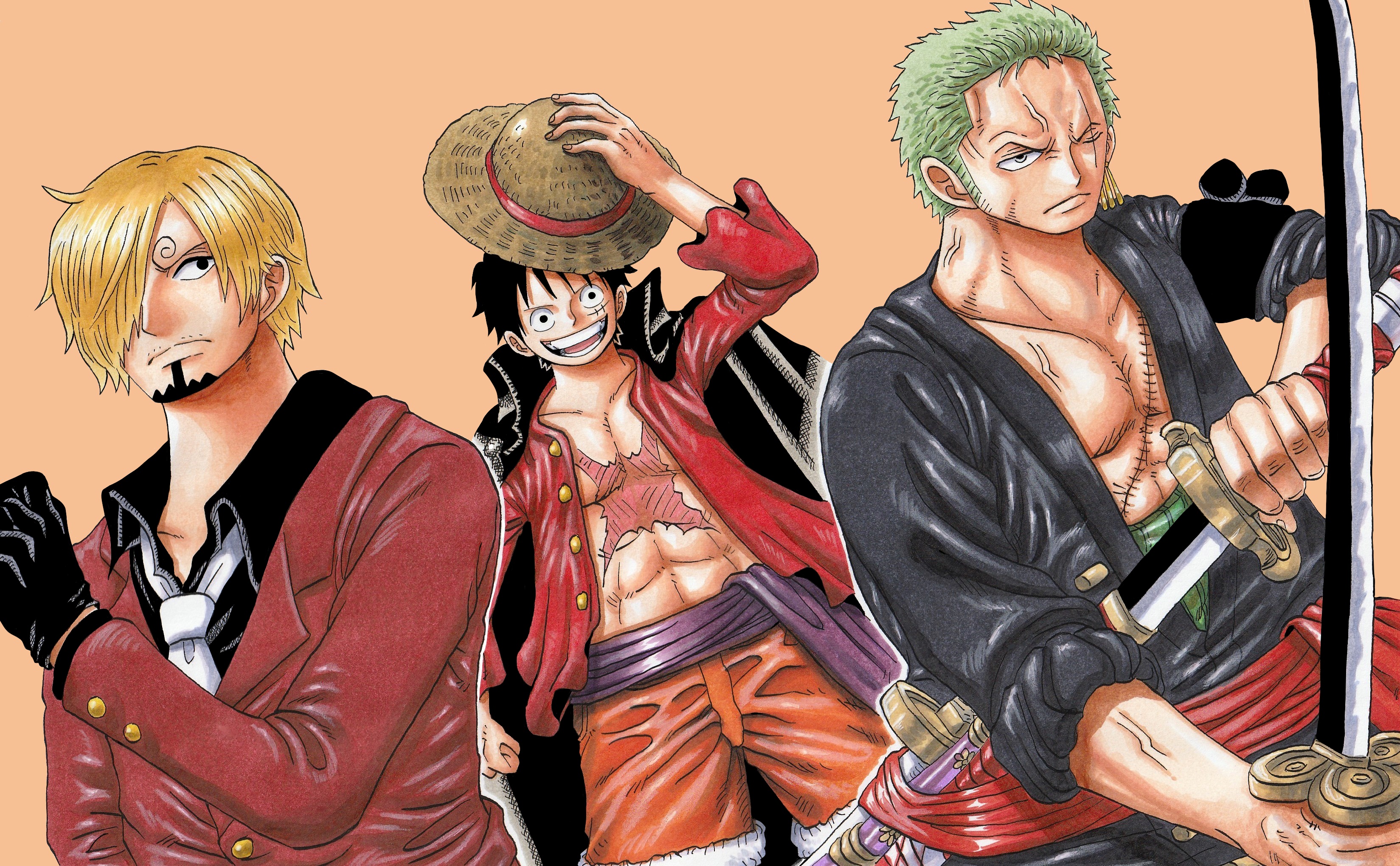 Anime one piece HD roronoa zoro monkey