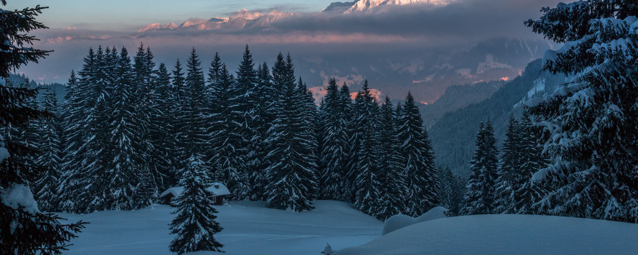 Download wallpaper 2560x1024 winter, mountains, snow, trees, twilight ultrawide monitor HD background