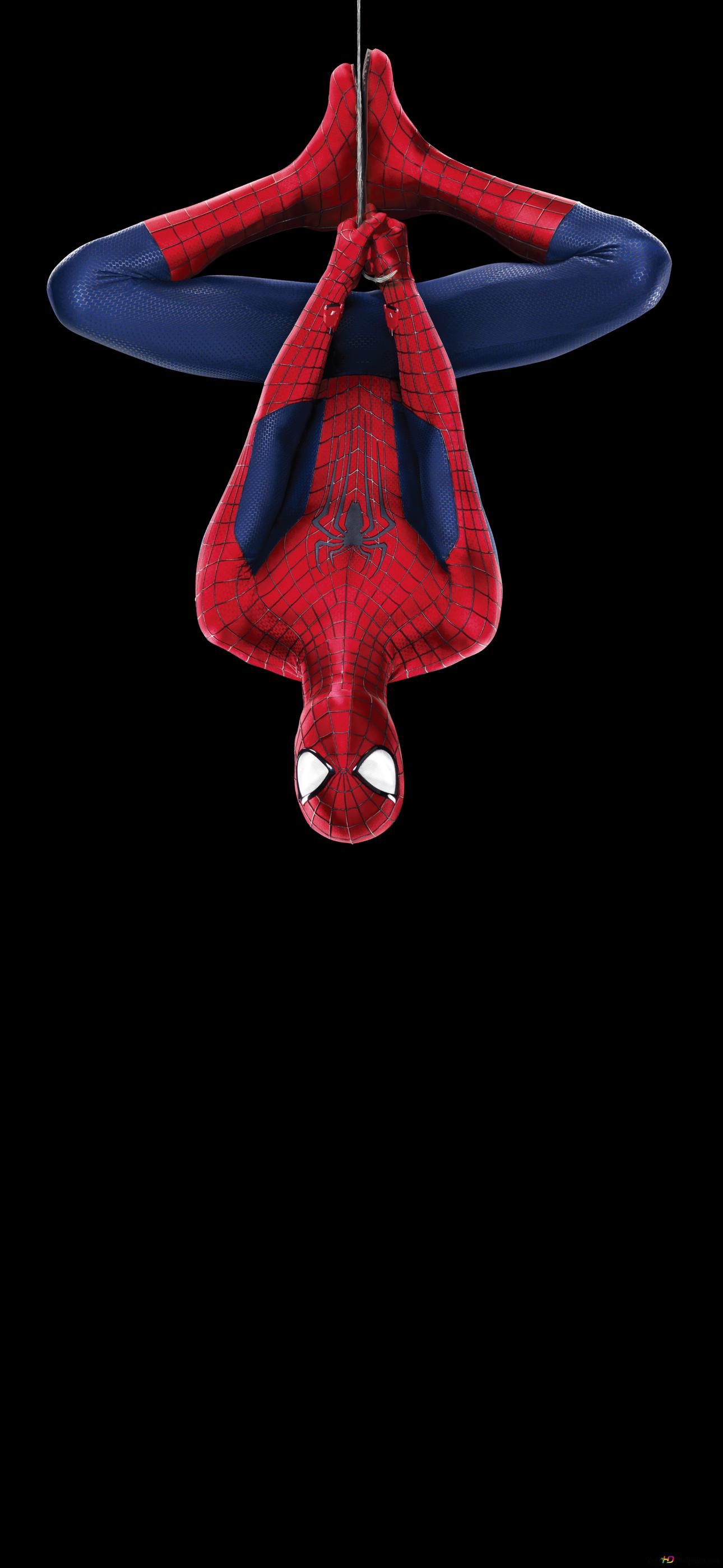 Marvel Character Spider Man Posing Upside Down In A Spider Web In A Familiar Red And Blue Costume 2K Wallpaper Download