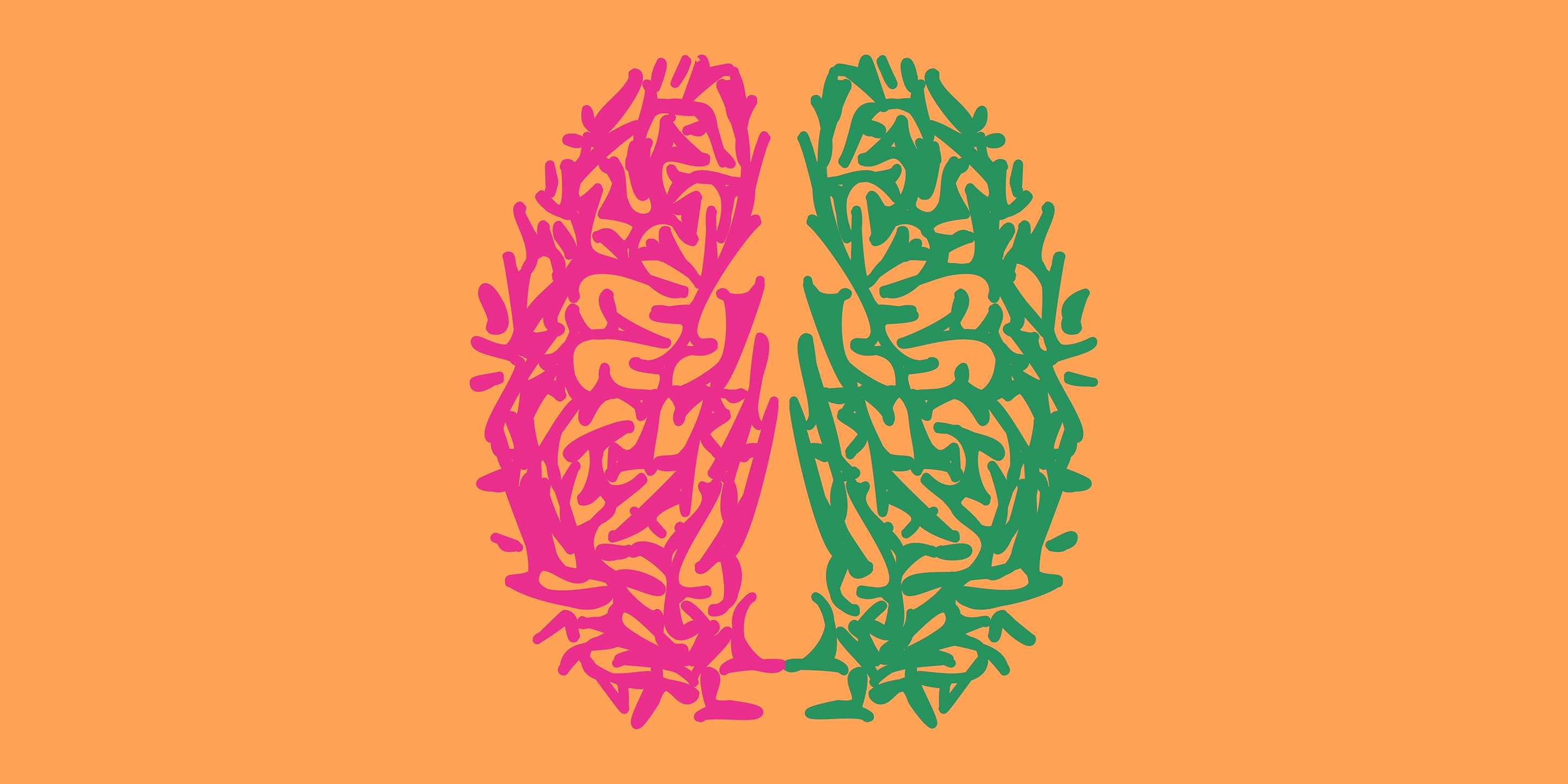 Being Bilingual Changes the Architecture of Your Brain