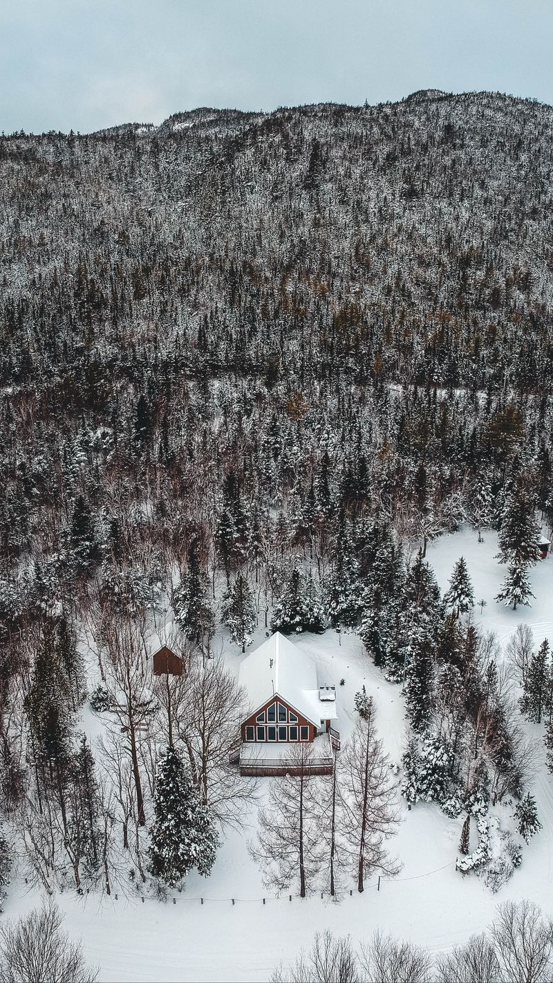Download Wallpaper 800x1420 Mountain, House, Aerial View, Trees, Snow, Winter Iphone Se 5s 5c 5 For Parallax HD Background