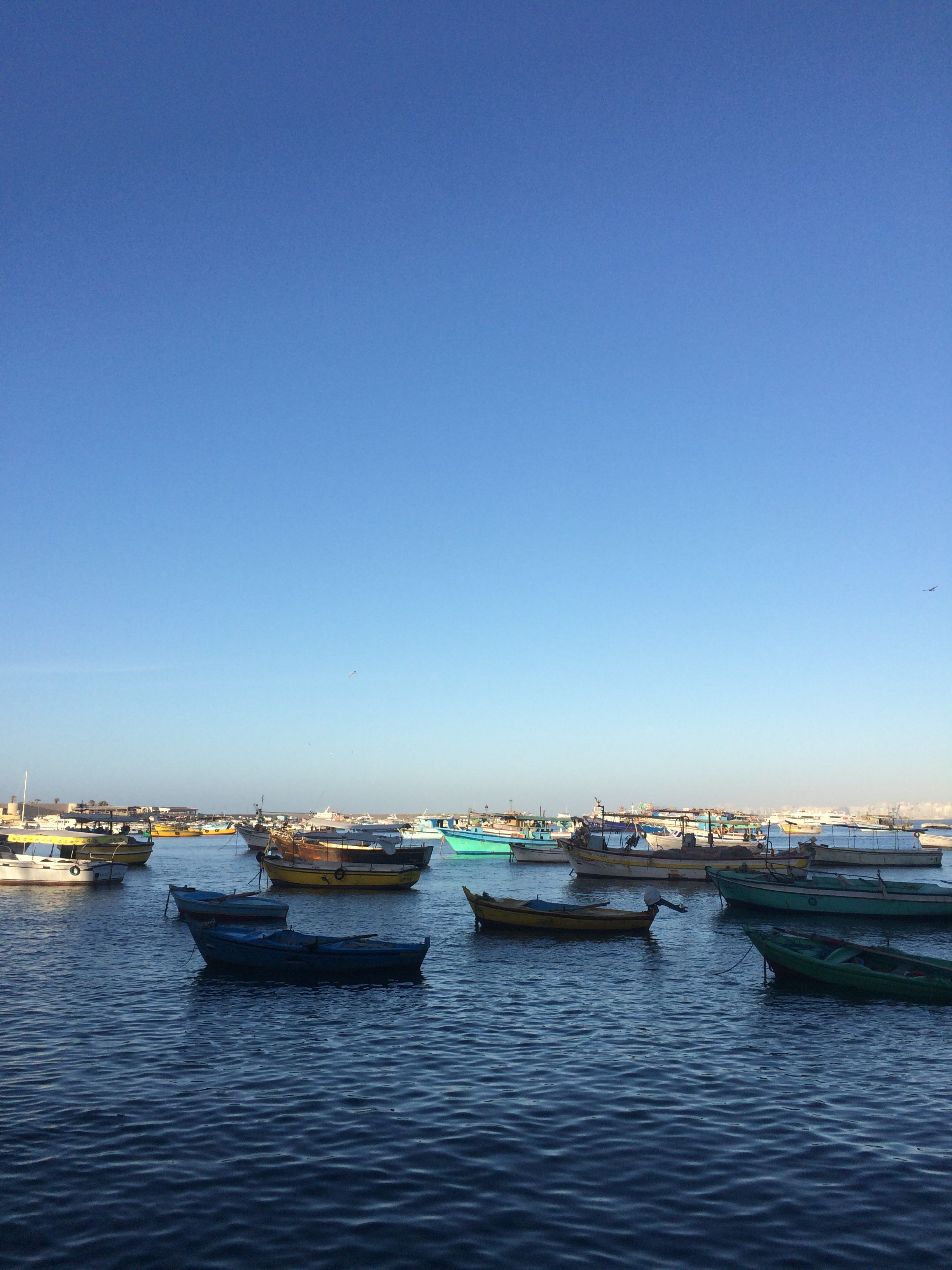 Alexandria, Egypt اسكندرية 9, march 2018 #wallpaper #wallpaper #egypt #everyday #everydayalex #everydayegypt #everydayegyptphoto #getscene #streetphotograph