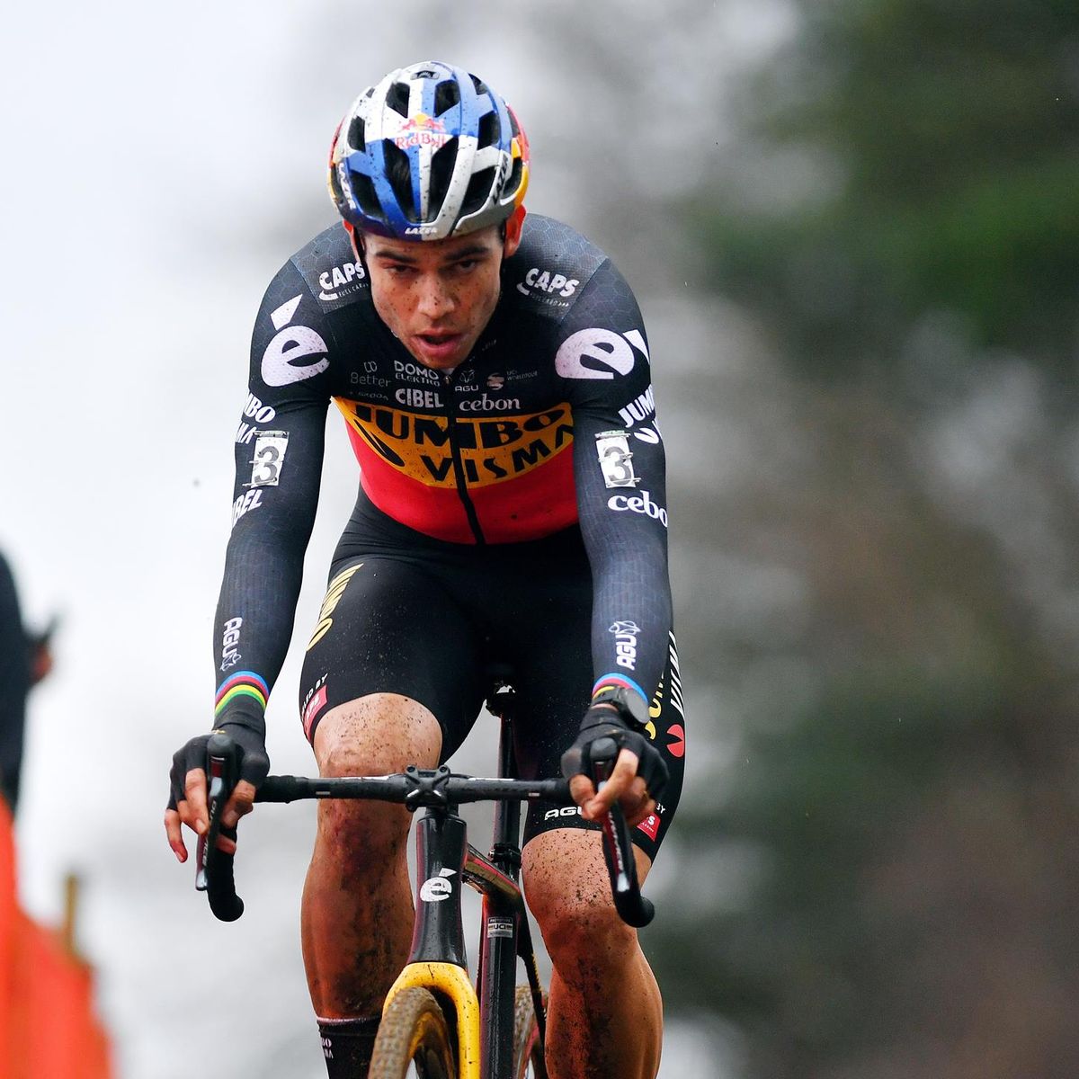 Wout van Aert wins at Azencross in Loenhout for six in a row, Toon Aerts extends overall lead in championship