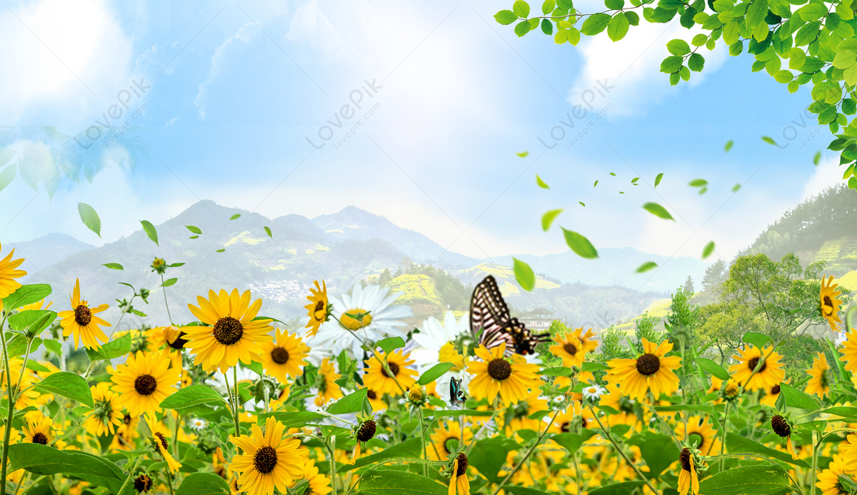 Hello Spring Download Free. Banner Background Image